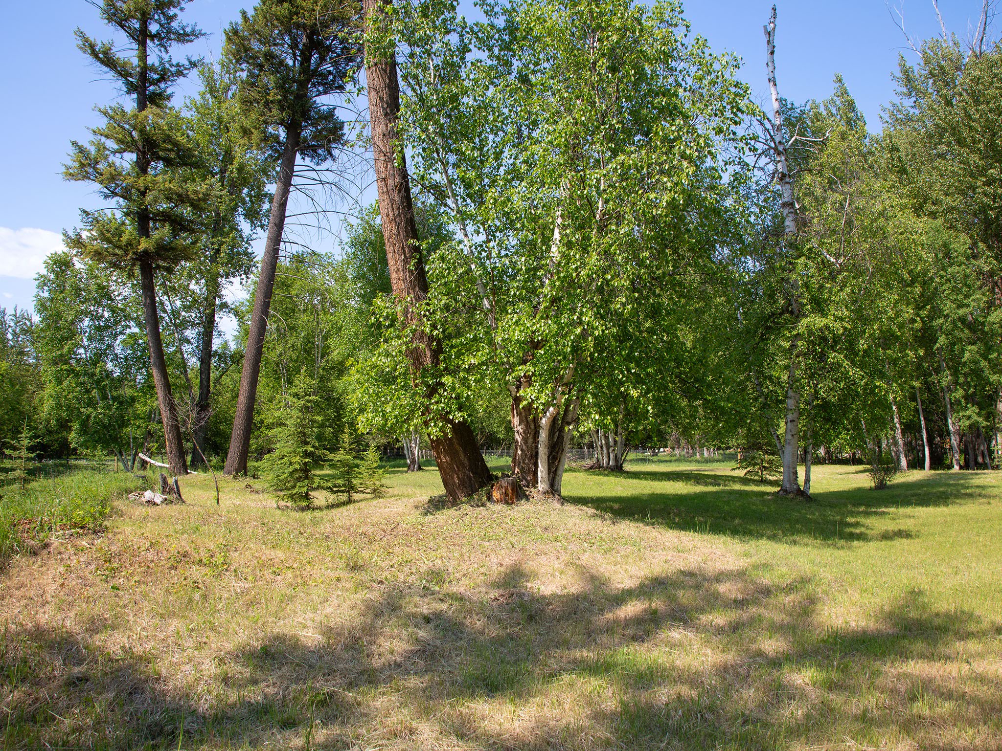 871 Conrad Drive Property Photo 44
