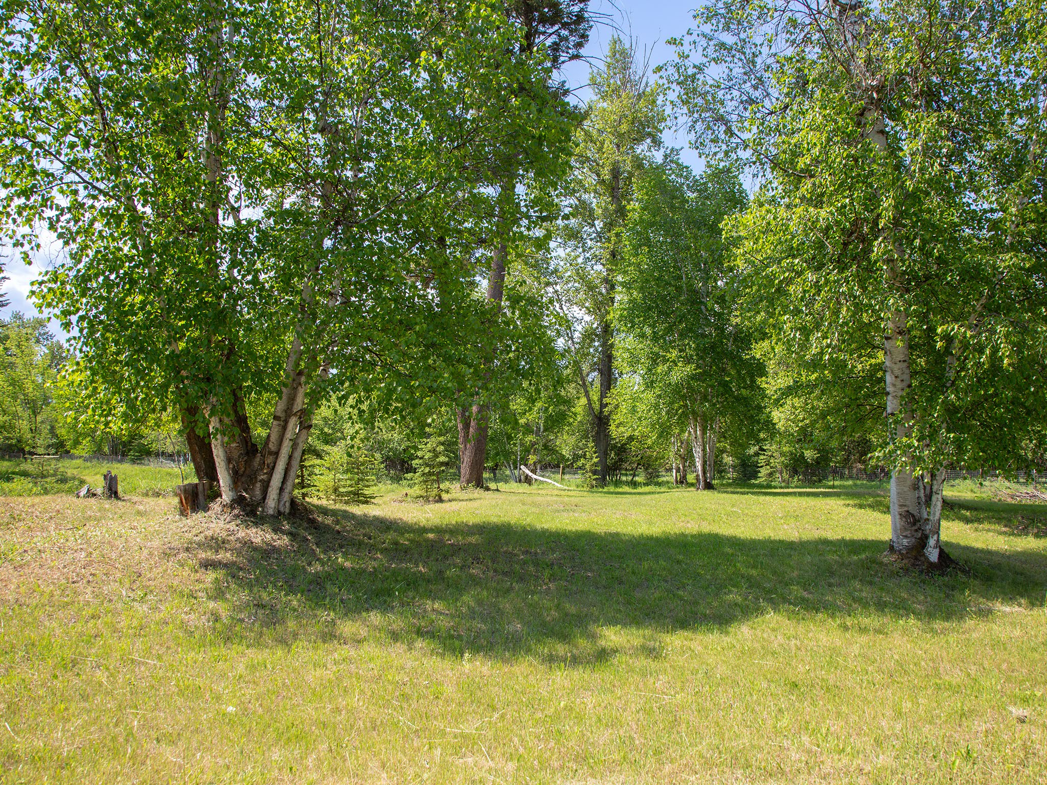 871 Conrad Drive Property Photo 45