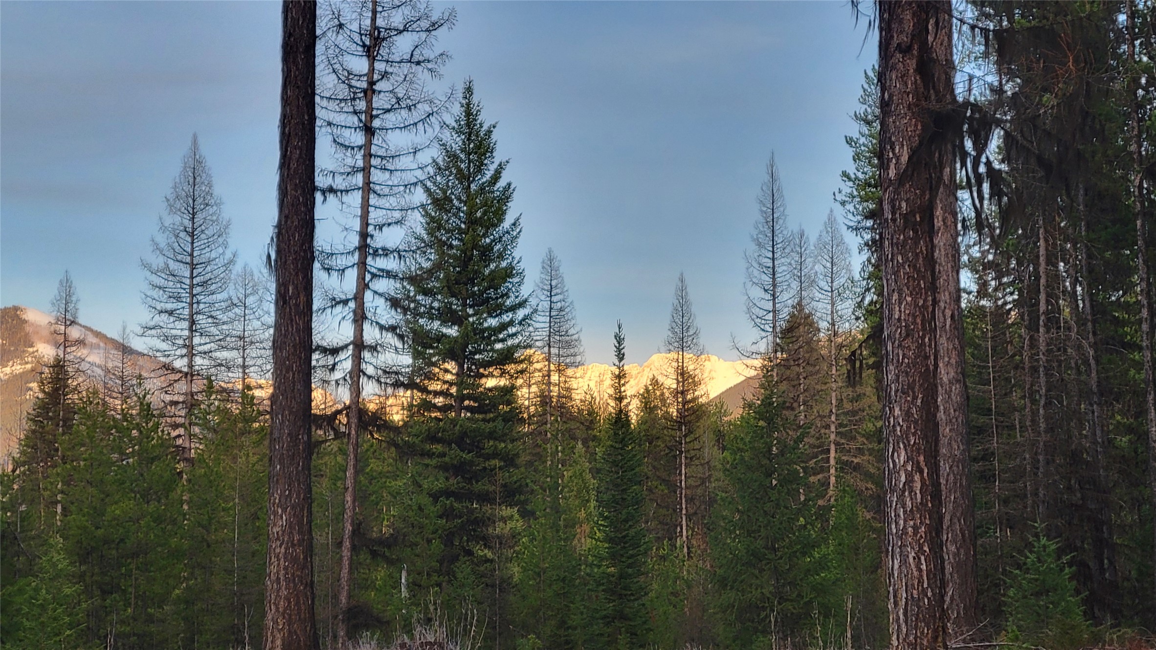 Nhn Shay Lake Road Property Photo