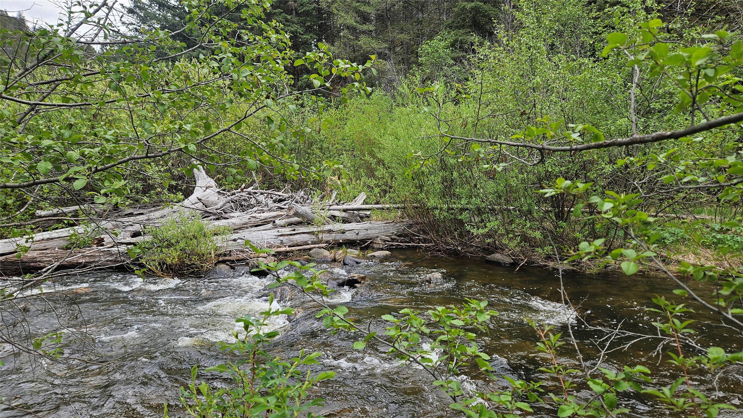 Tbd Basin Creek Road Property Photo 1
