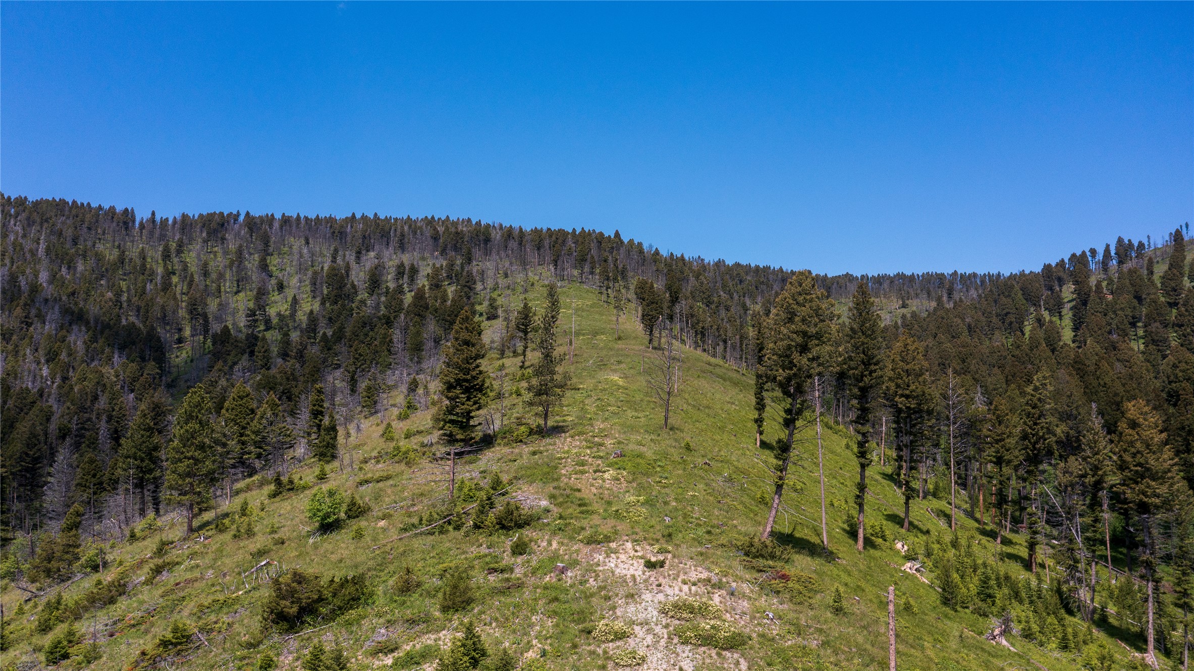 12968 Flesher Acres Road Property Photo 57