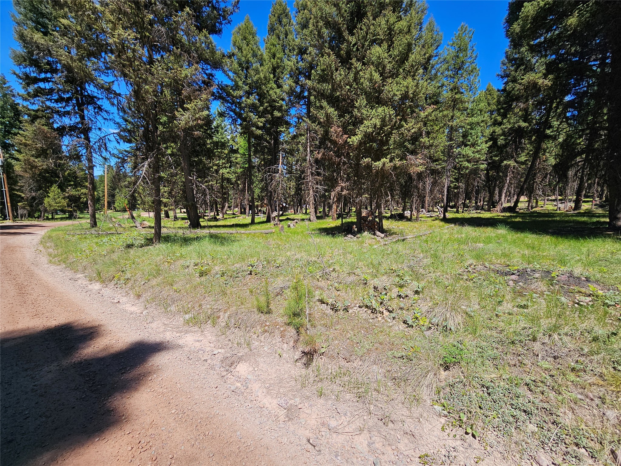 264 Evergreen Drive Property Photo 1
