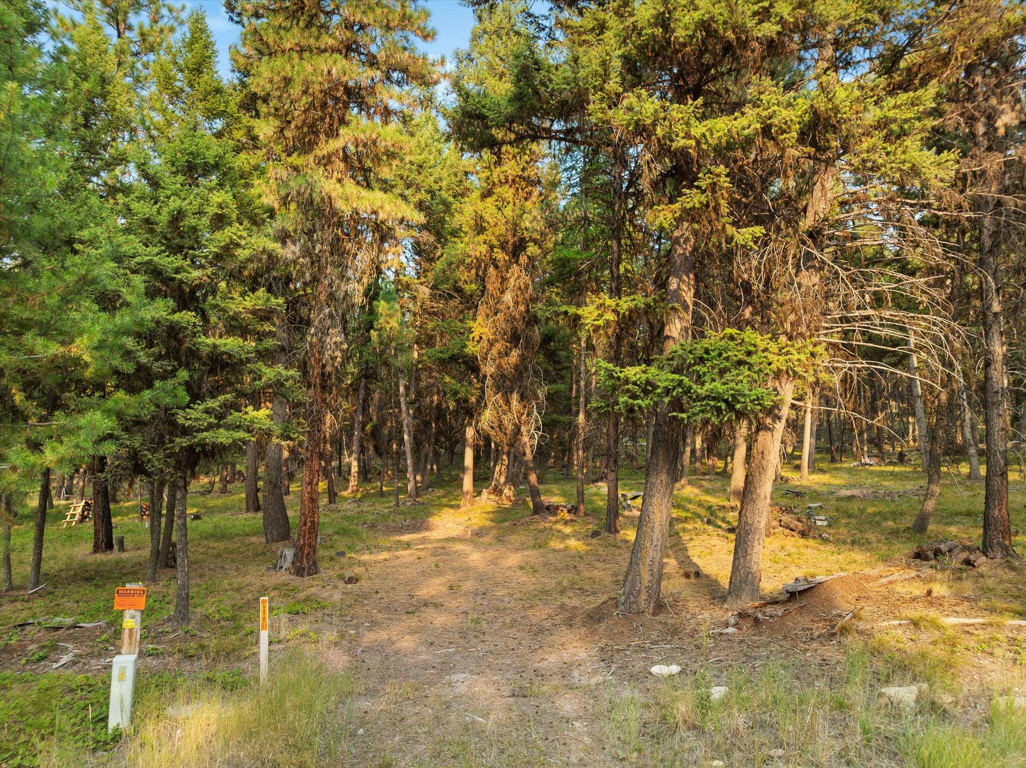 264 Evergreen Drive Property Photo 2