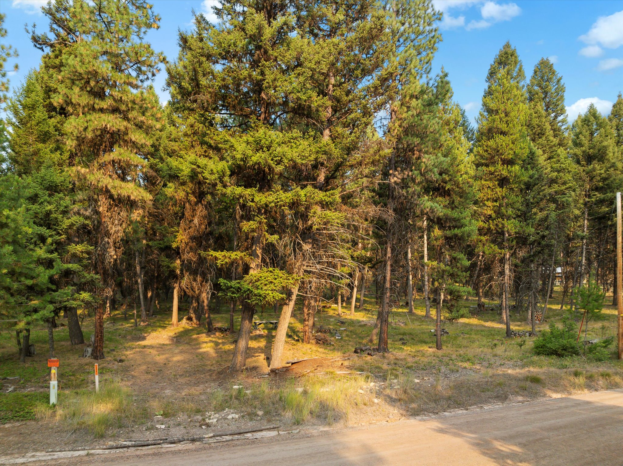 264 Evergreen Drive Property Photo 12