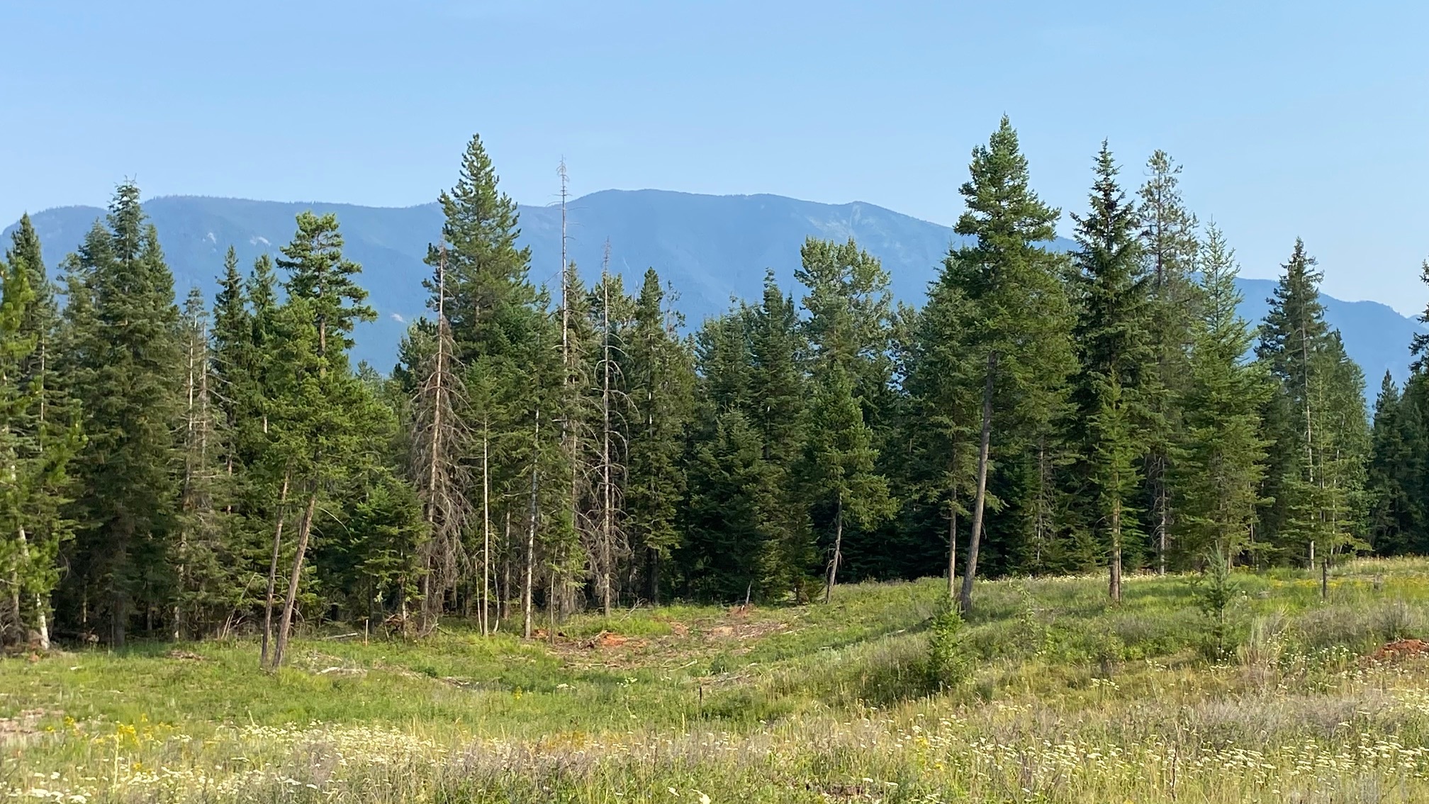 1068 Larch Ridge Trail Property Photo