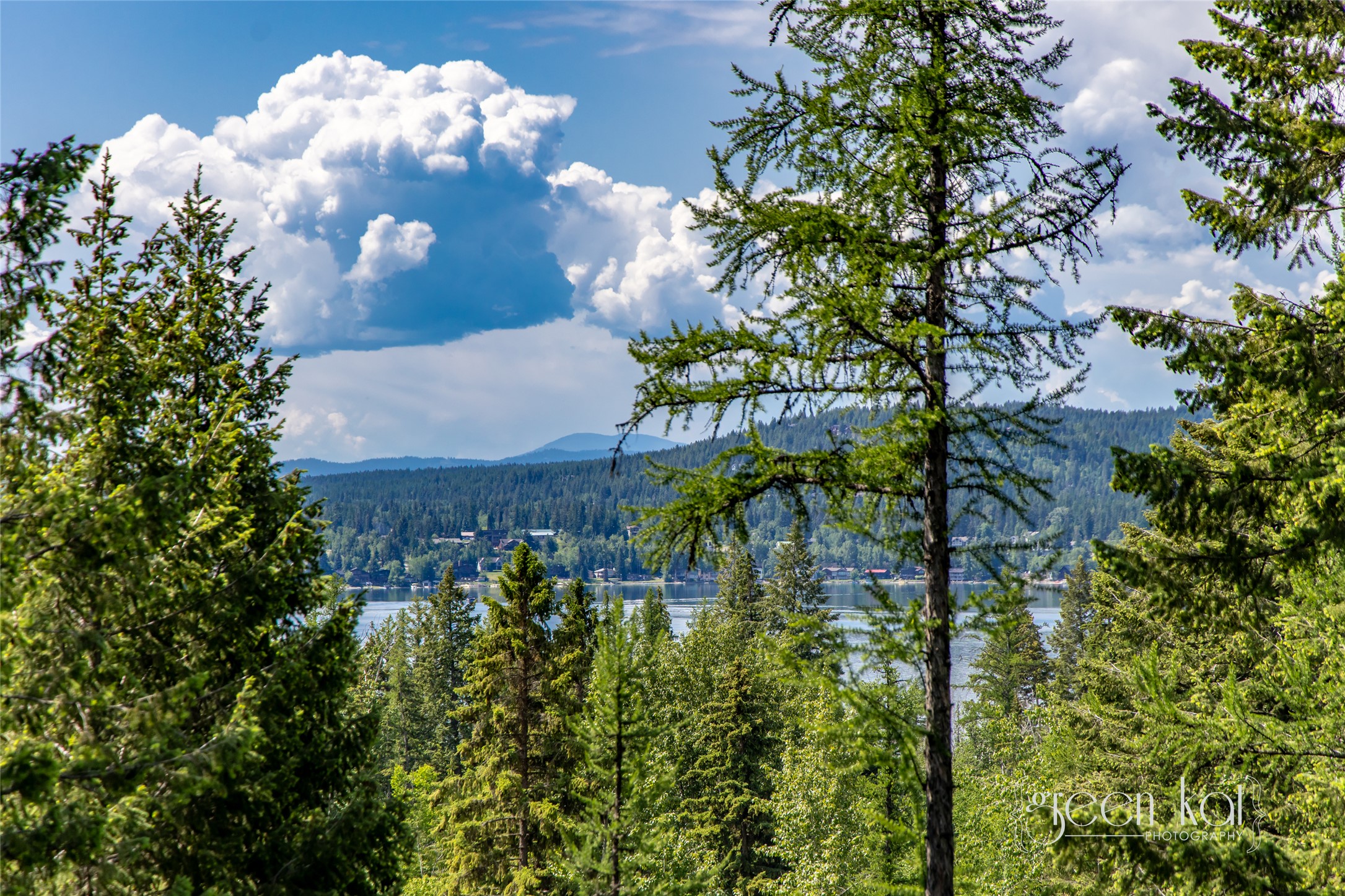 1939 Suncrest Drive Property Photo 46