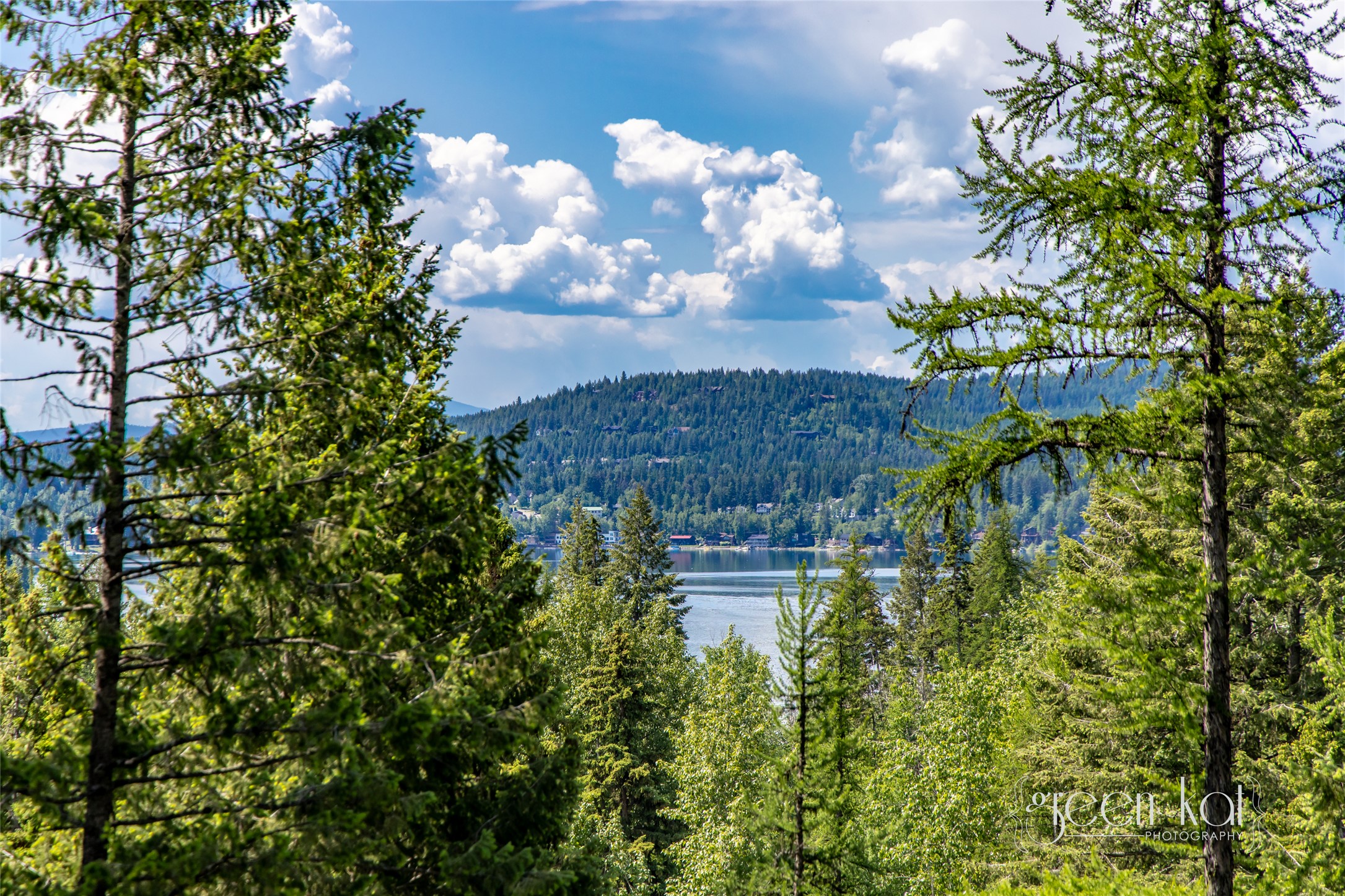 1939 Suncrest Drive Property Photo 47