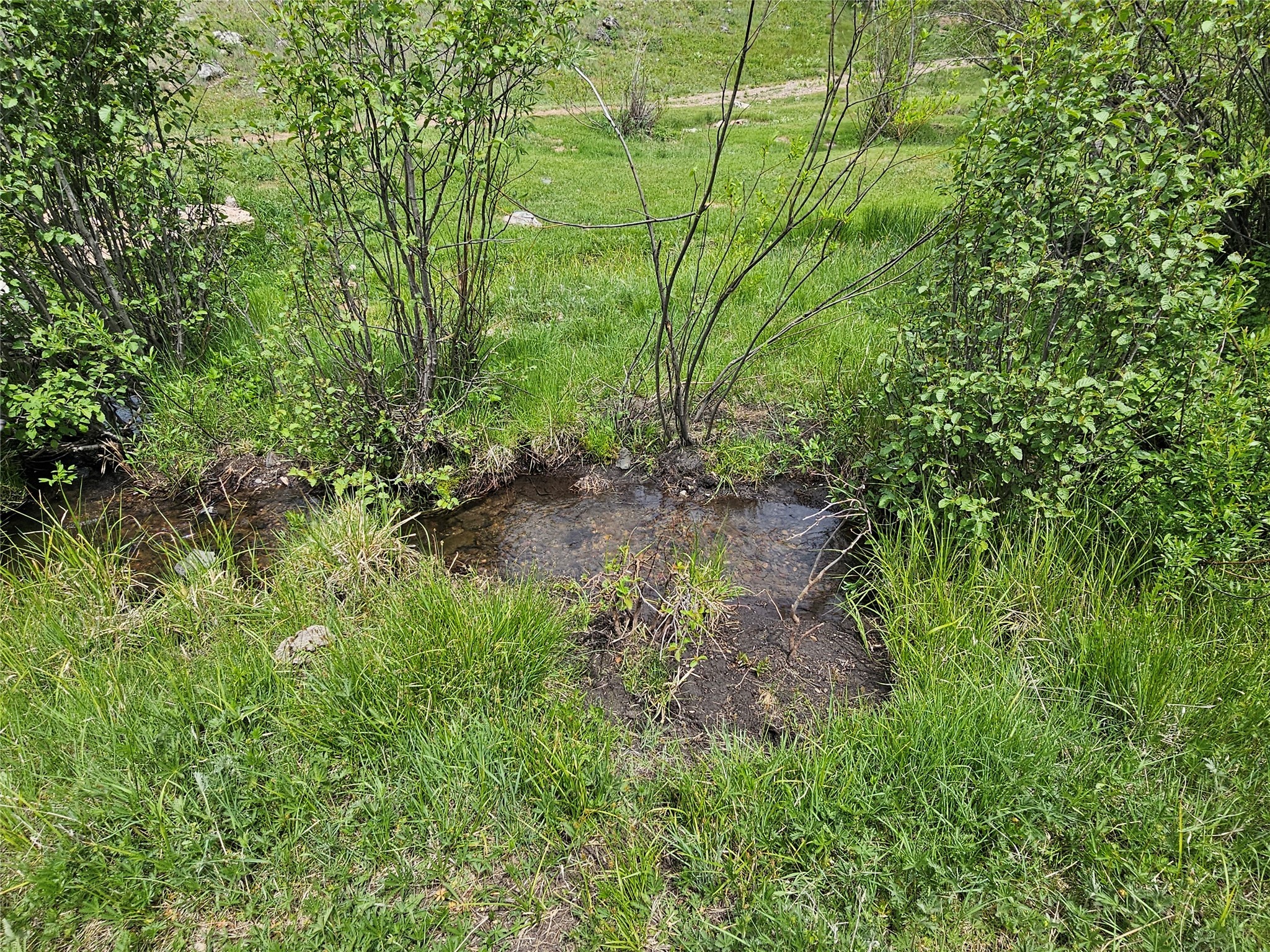 Nhn Osprey Road Property Photo 1