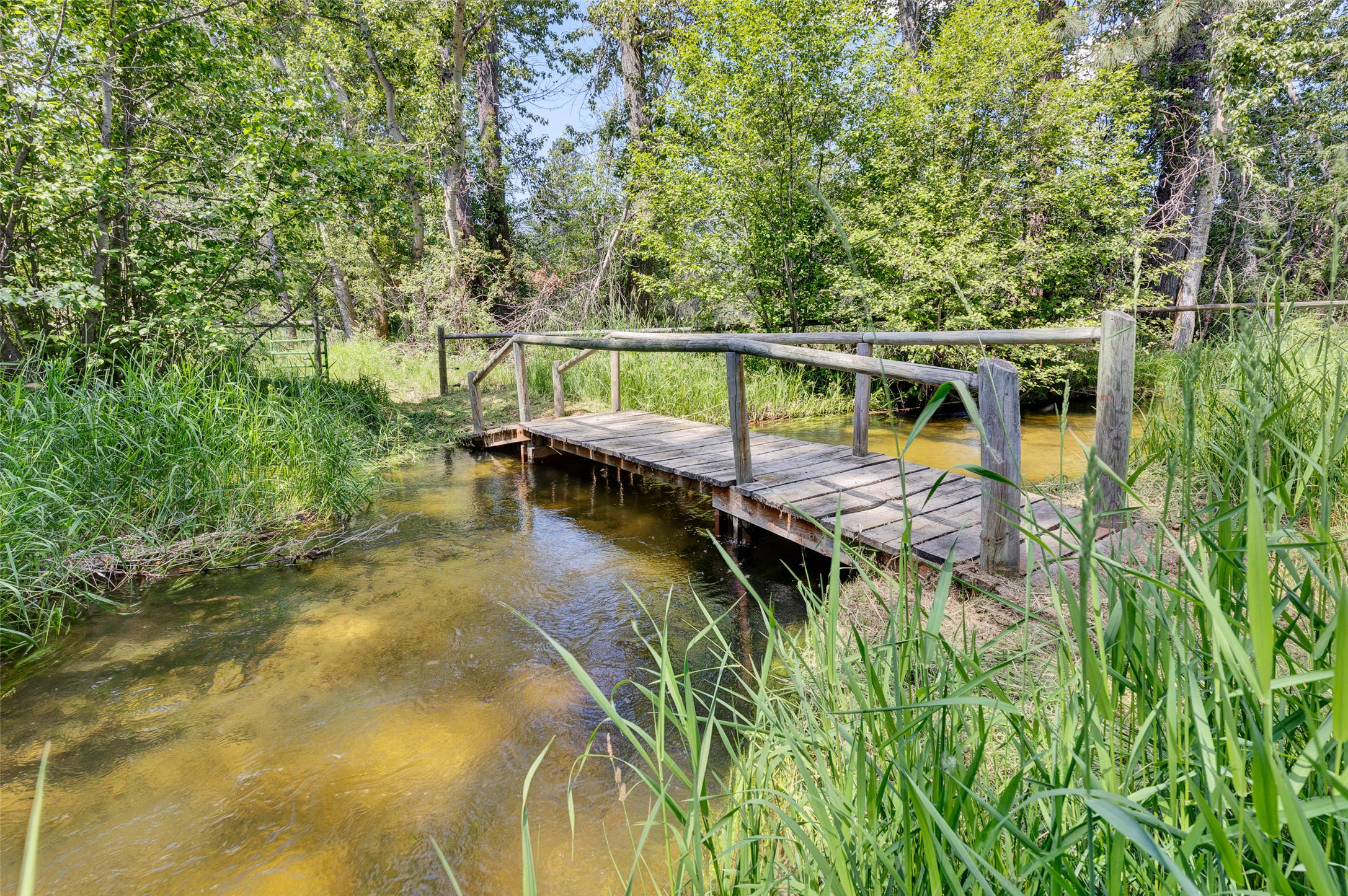 1567 Ward Mountain Lane Property Photo 3