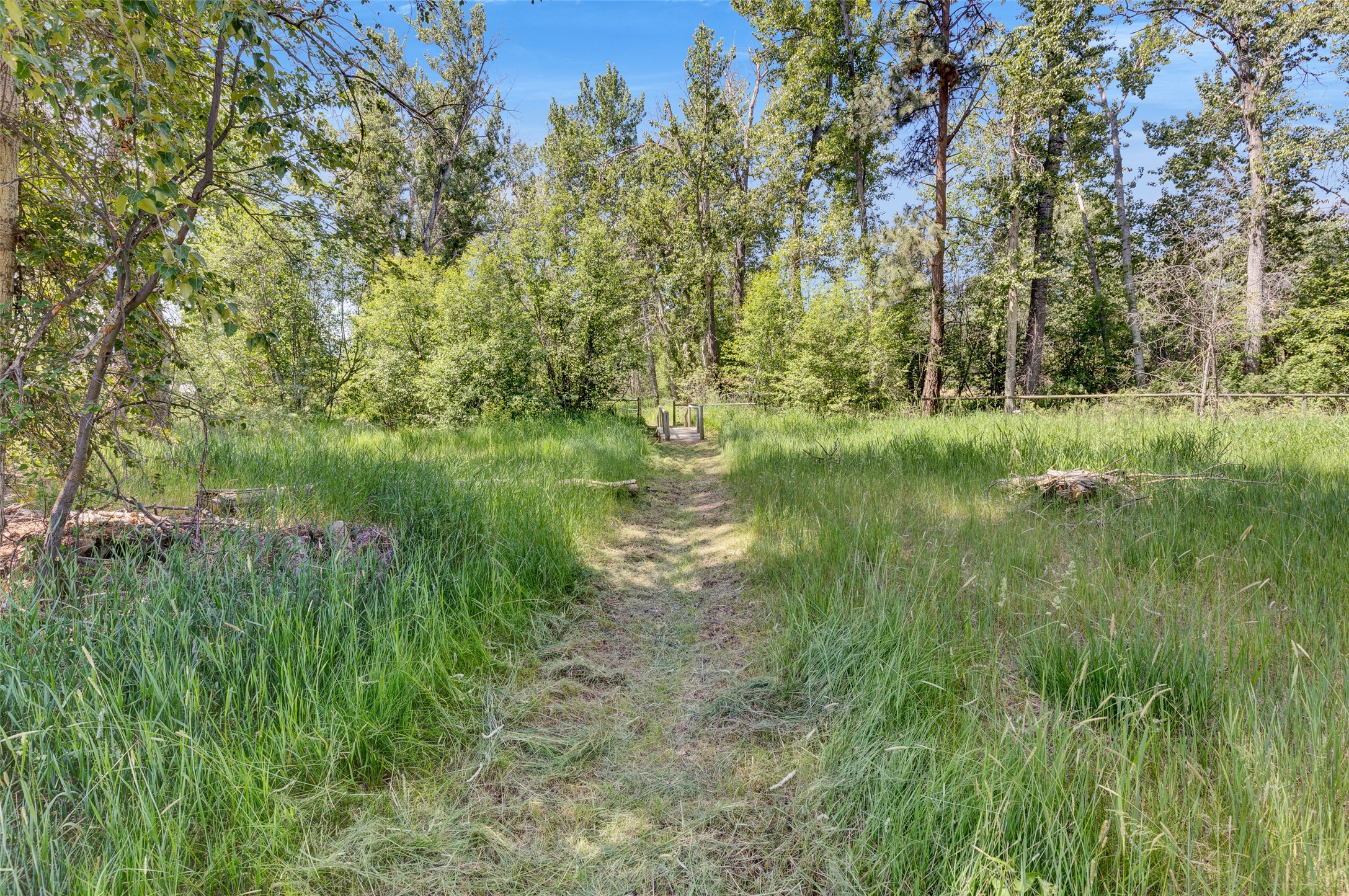 1567 Ward Mountain Lane Property Photo 65