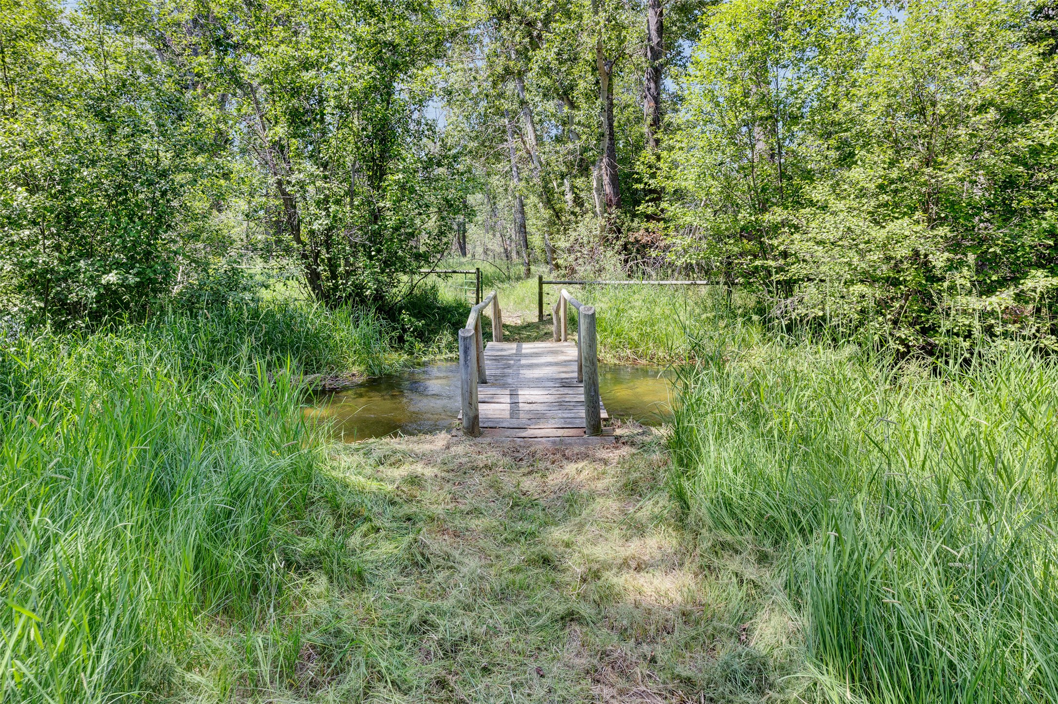 1567 Ward Mountain Lane Property Photo 66