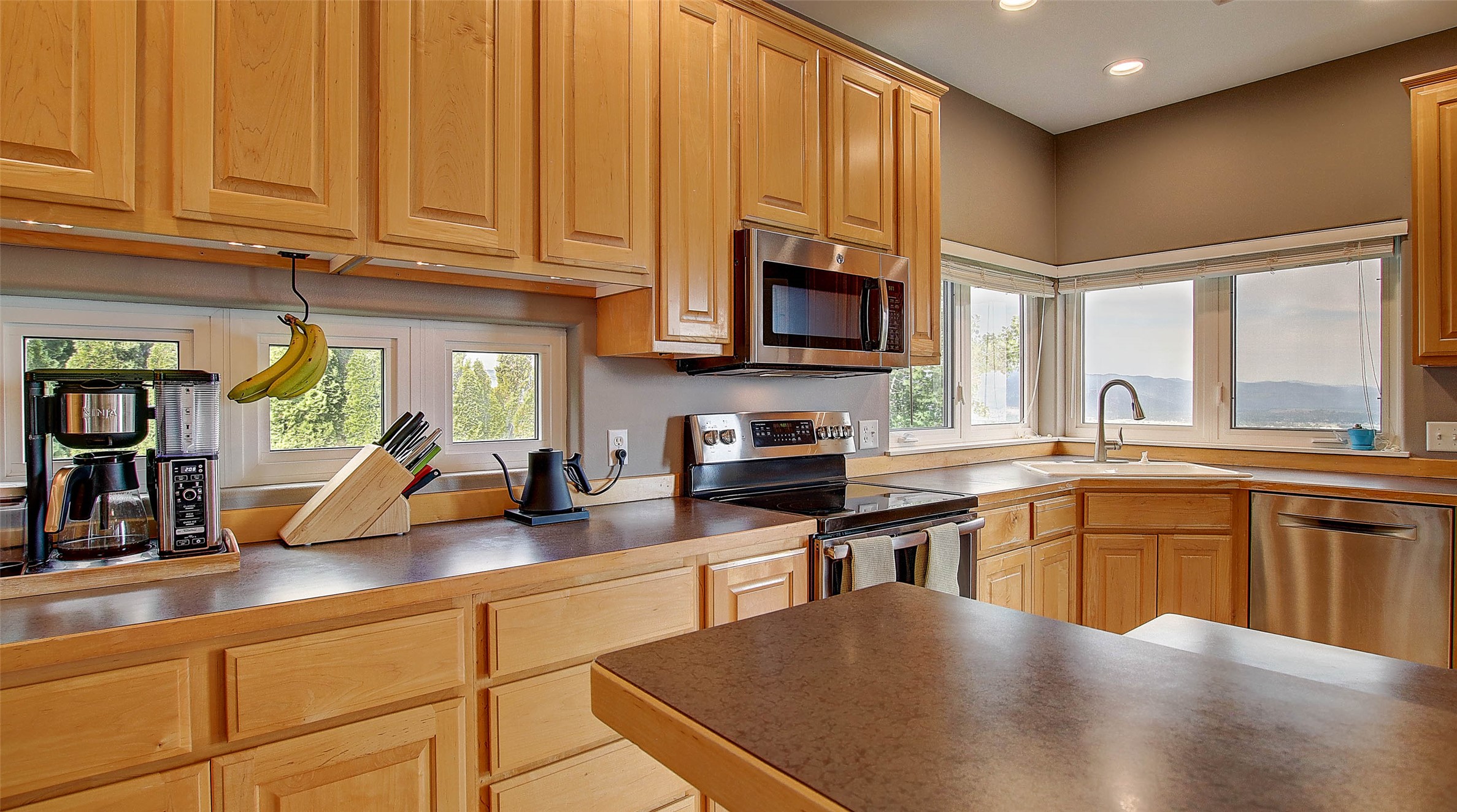 5117 Pintlar Mountain Court Property Photo 13