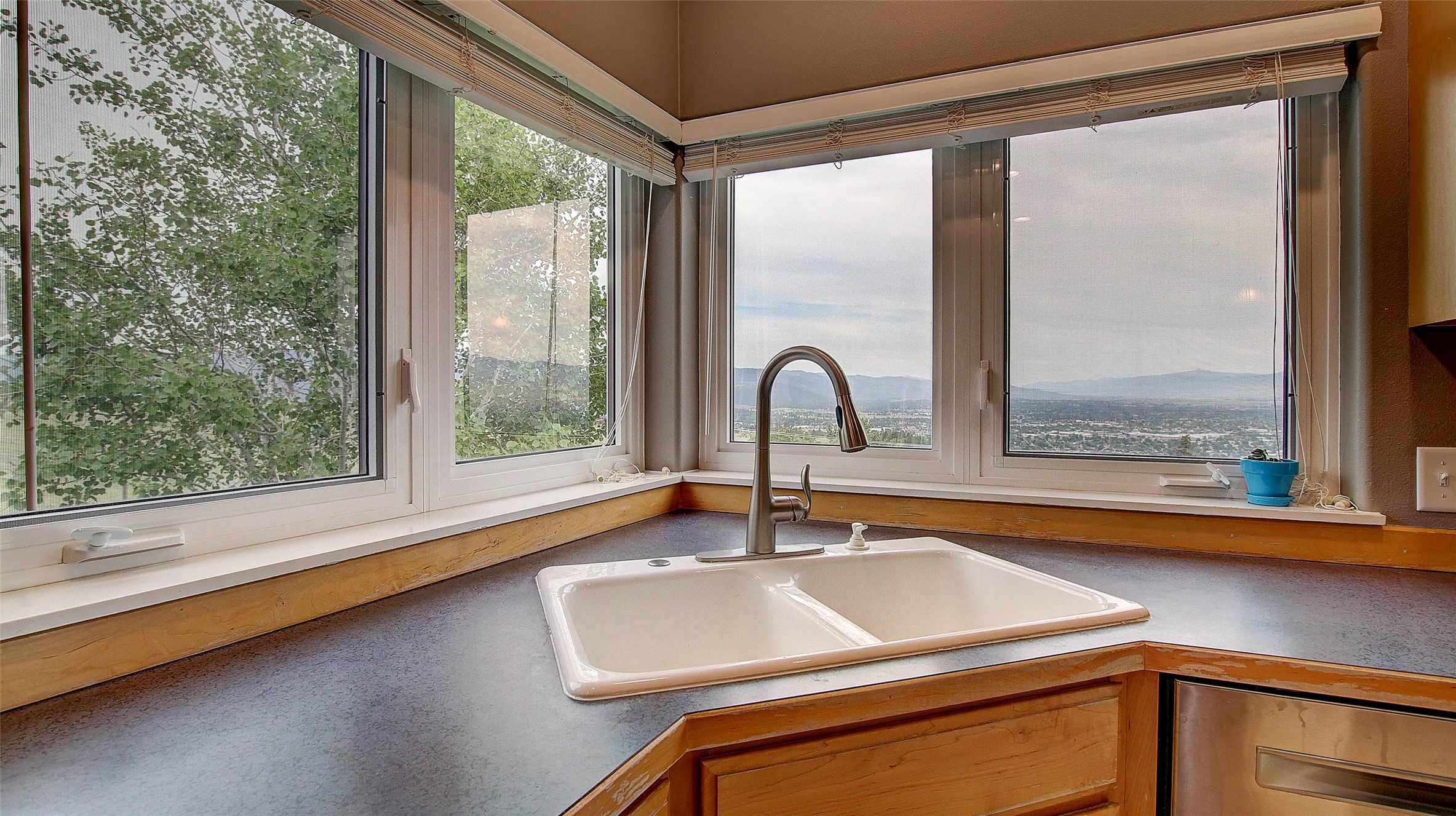 5117 Pintlar Mountain Court Property Photo 15