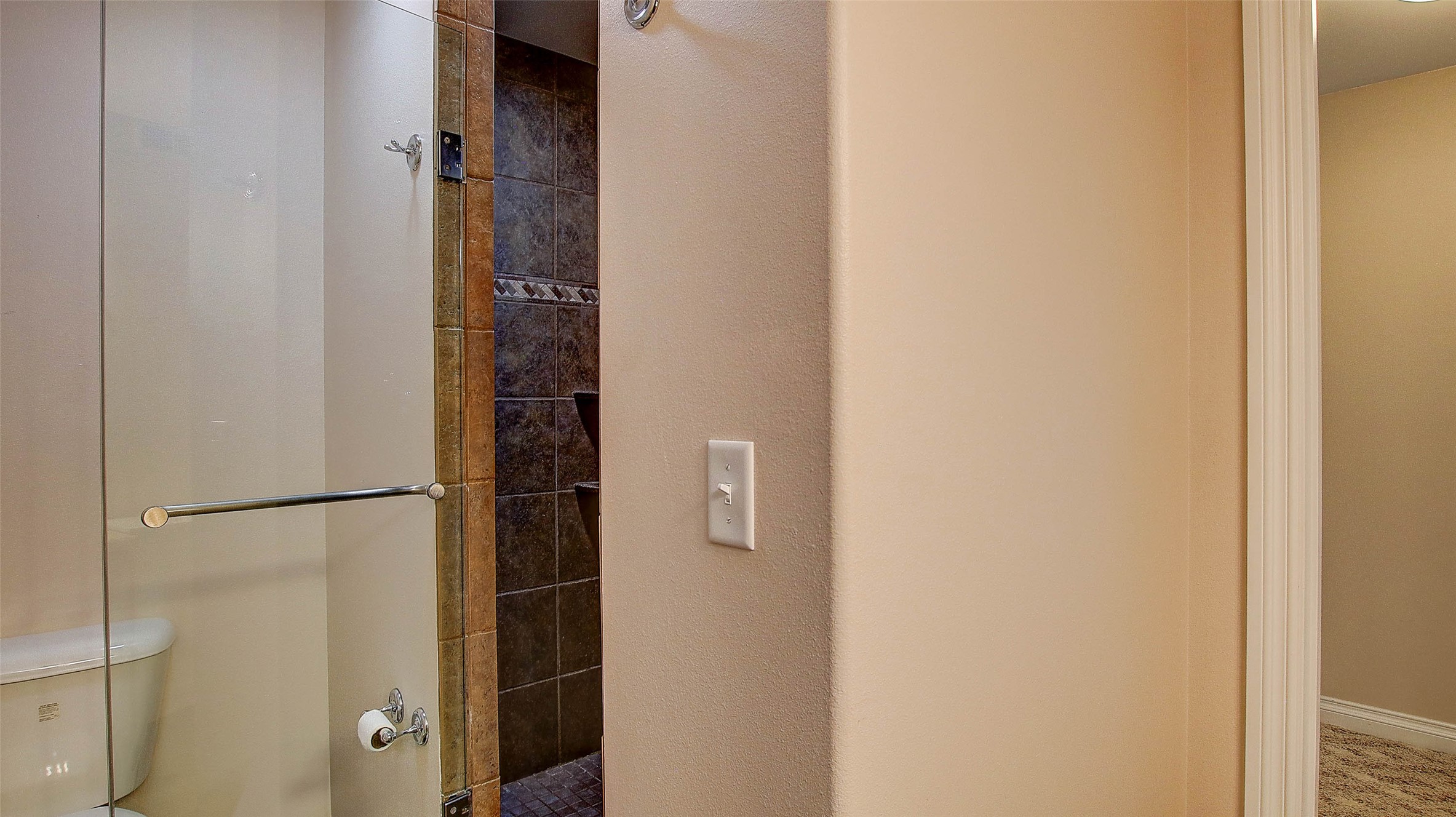 5117 Pintlar Mountain Court Property Photo 41