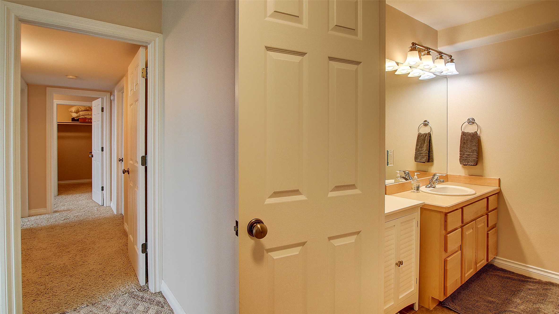 5117 Pintlar Mountain Court Property Photo 42