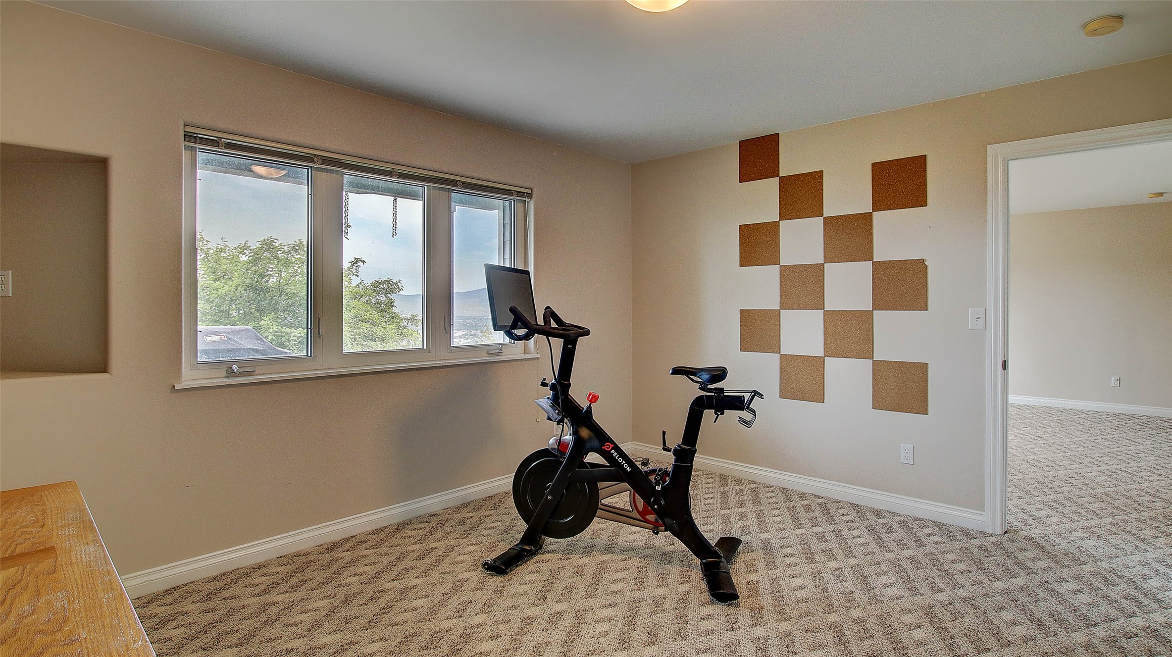 5117 Pintlar Mountain Court Property Photo 43