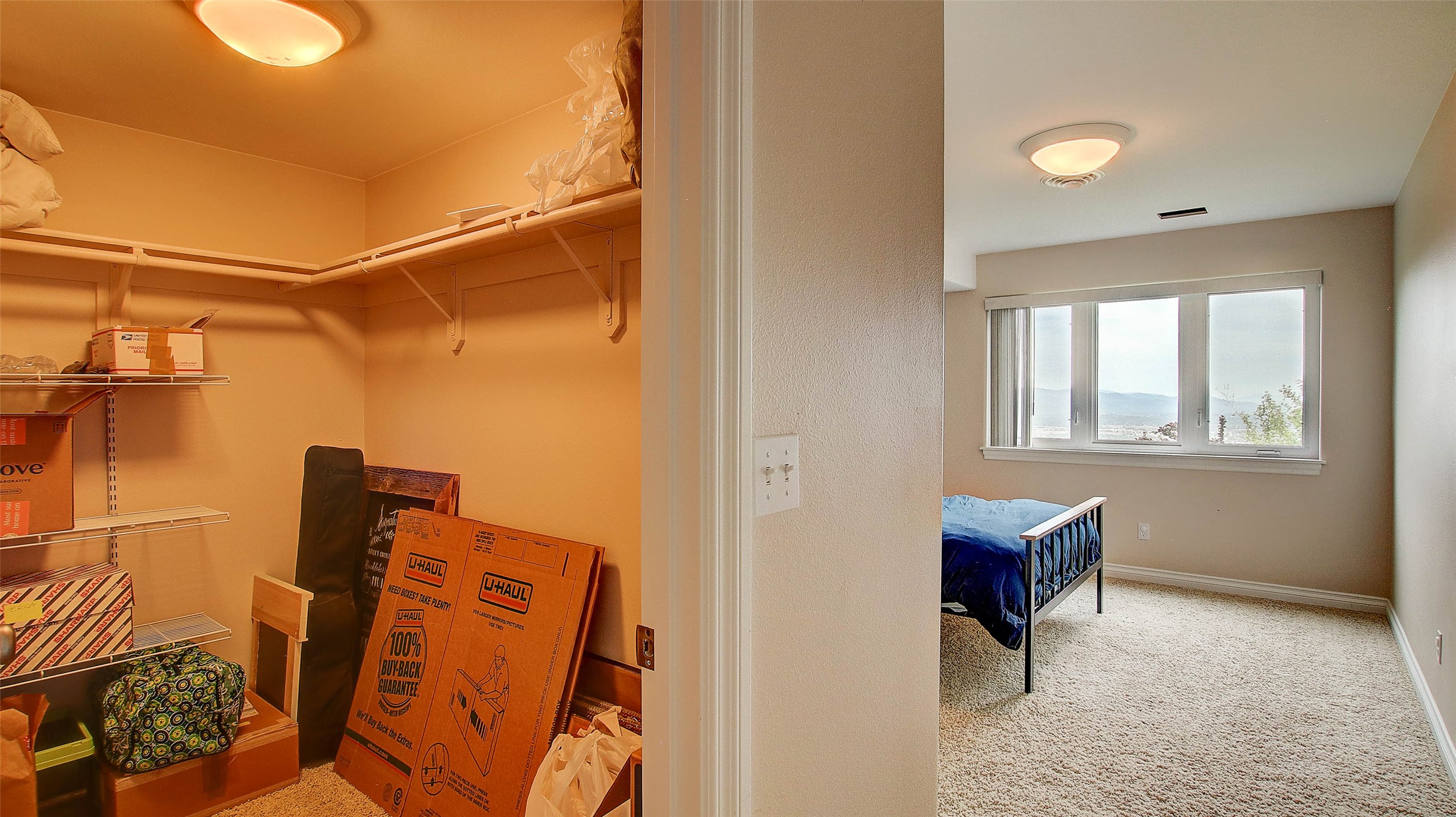 5117 Pintlar Mountain Court Property Photo 46