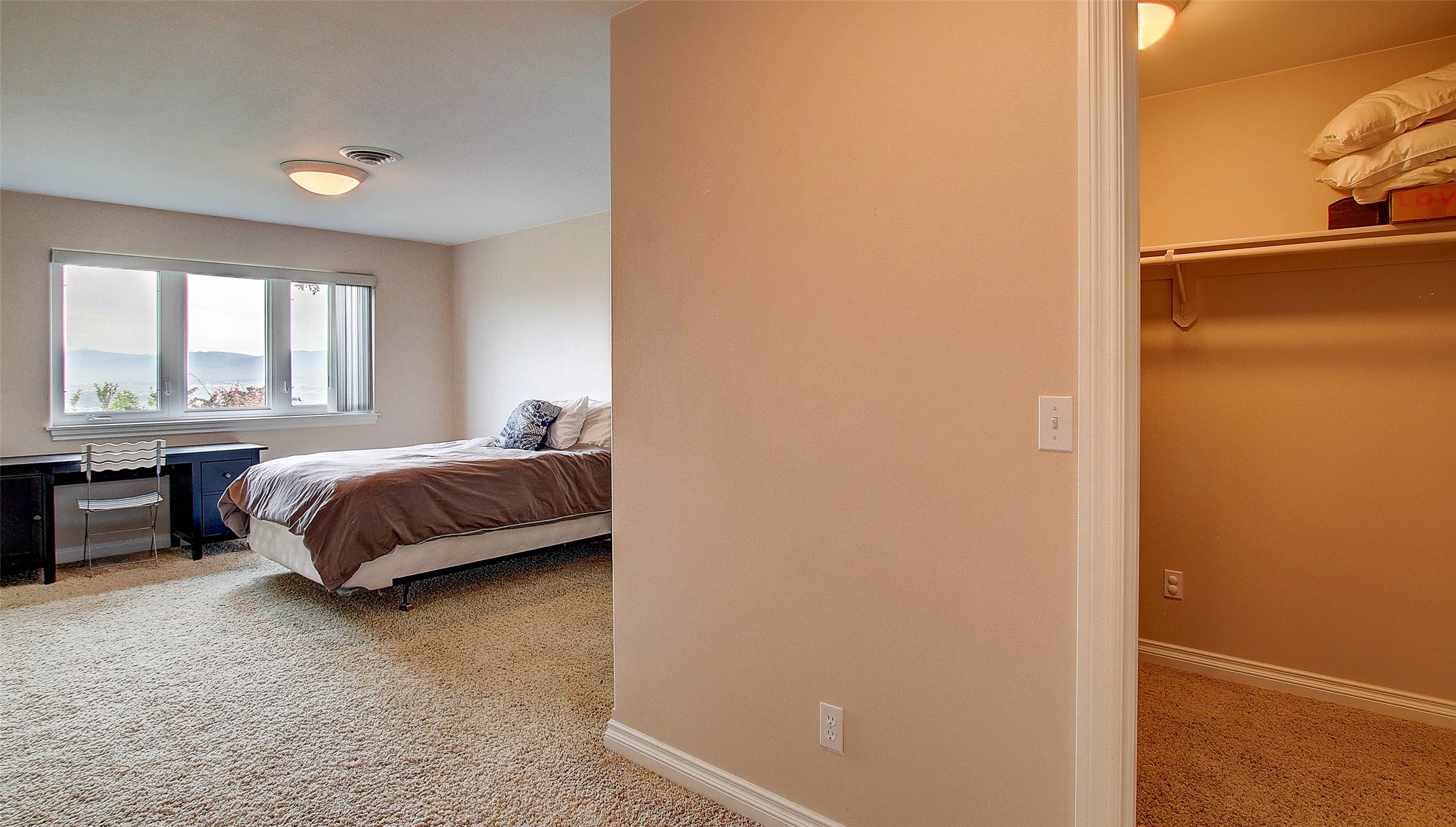 5117 Pintlar Mountain Court Property Photo 47
