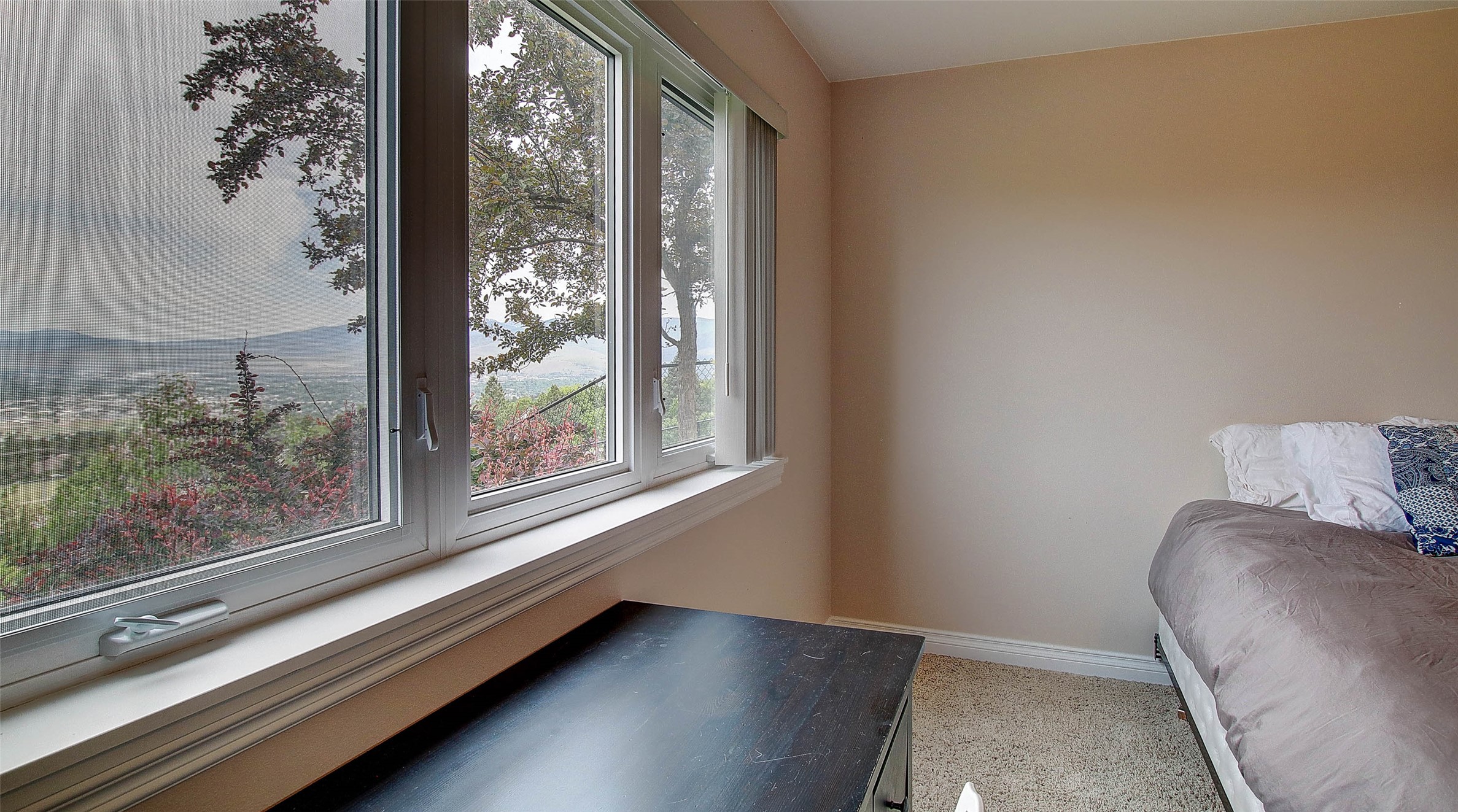 5117 Pintlar Mountain Court Property Photo 49