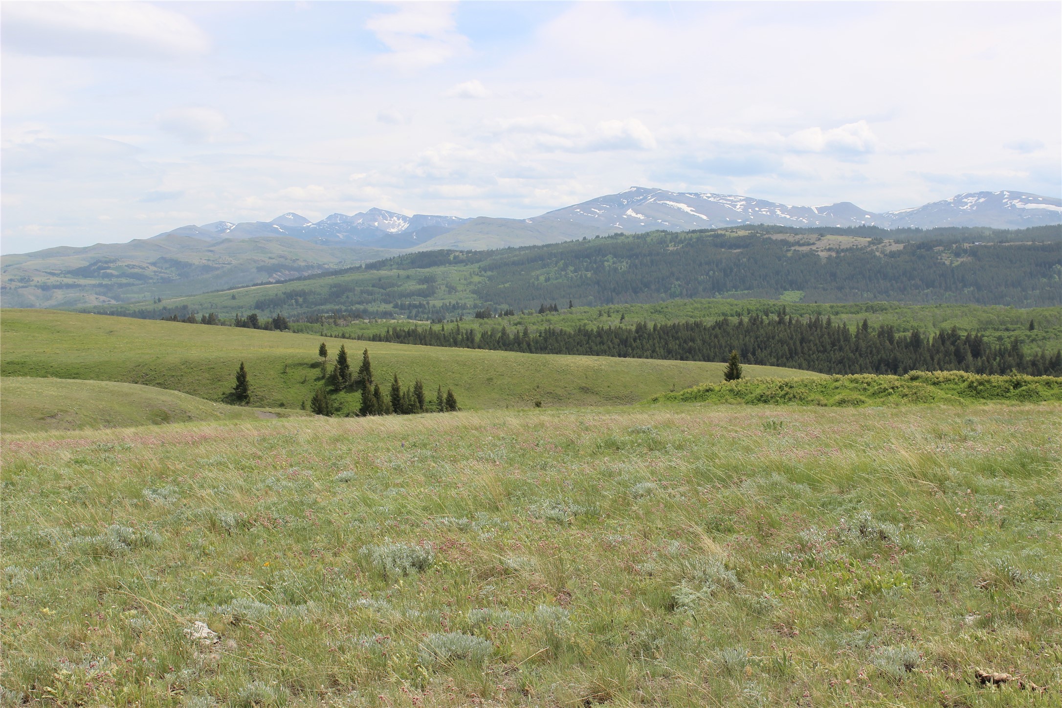 21001 Us Highway 2 Property Photo 17