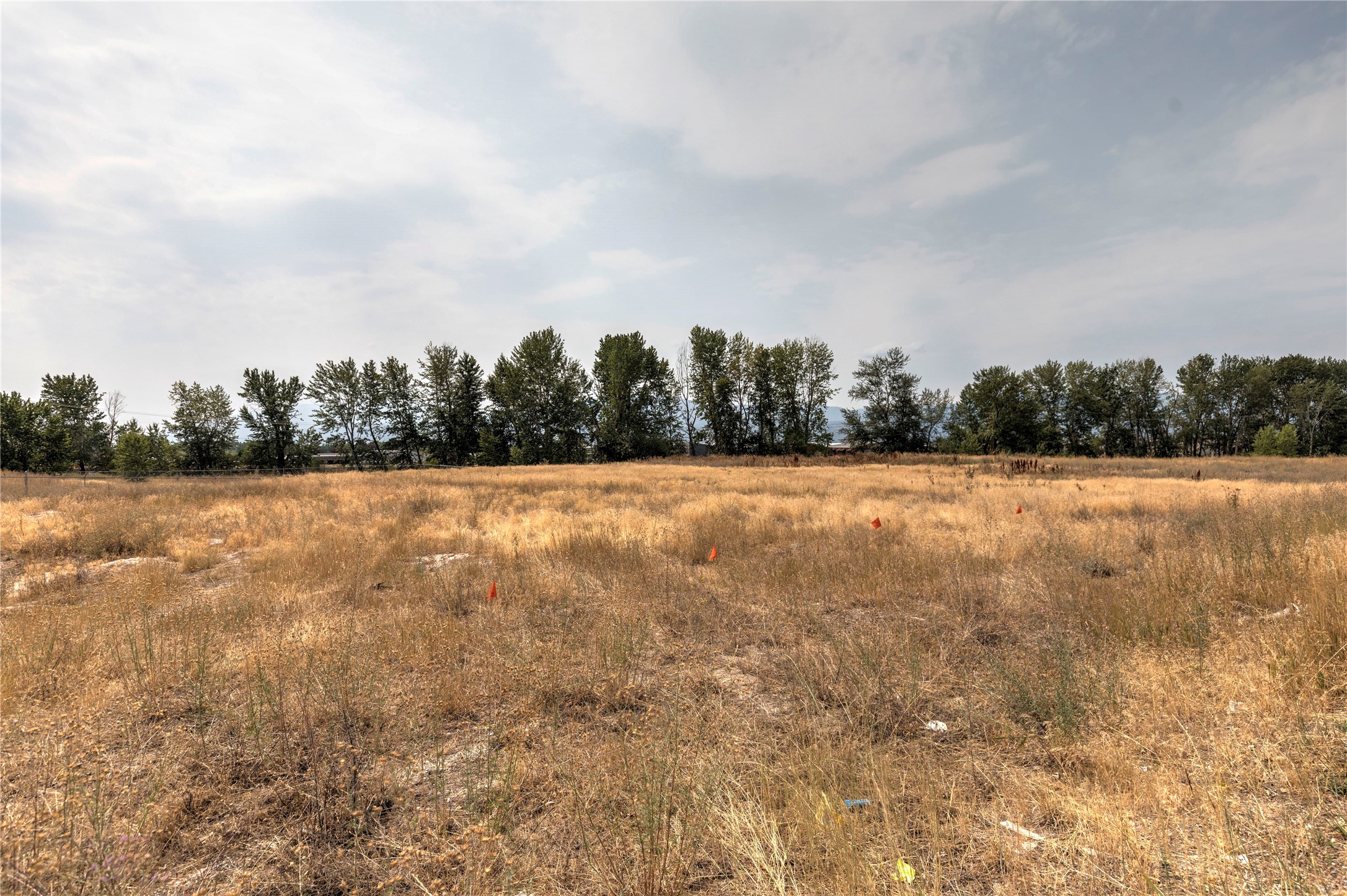 401 Expressway Property Photo 5