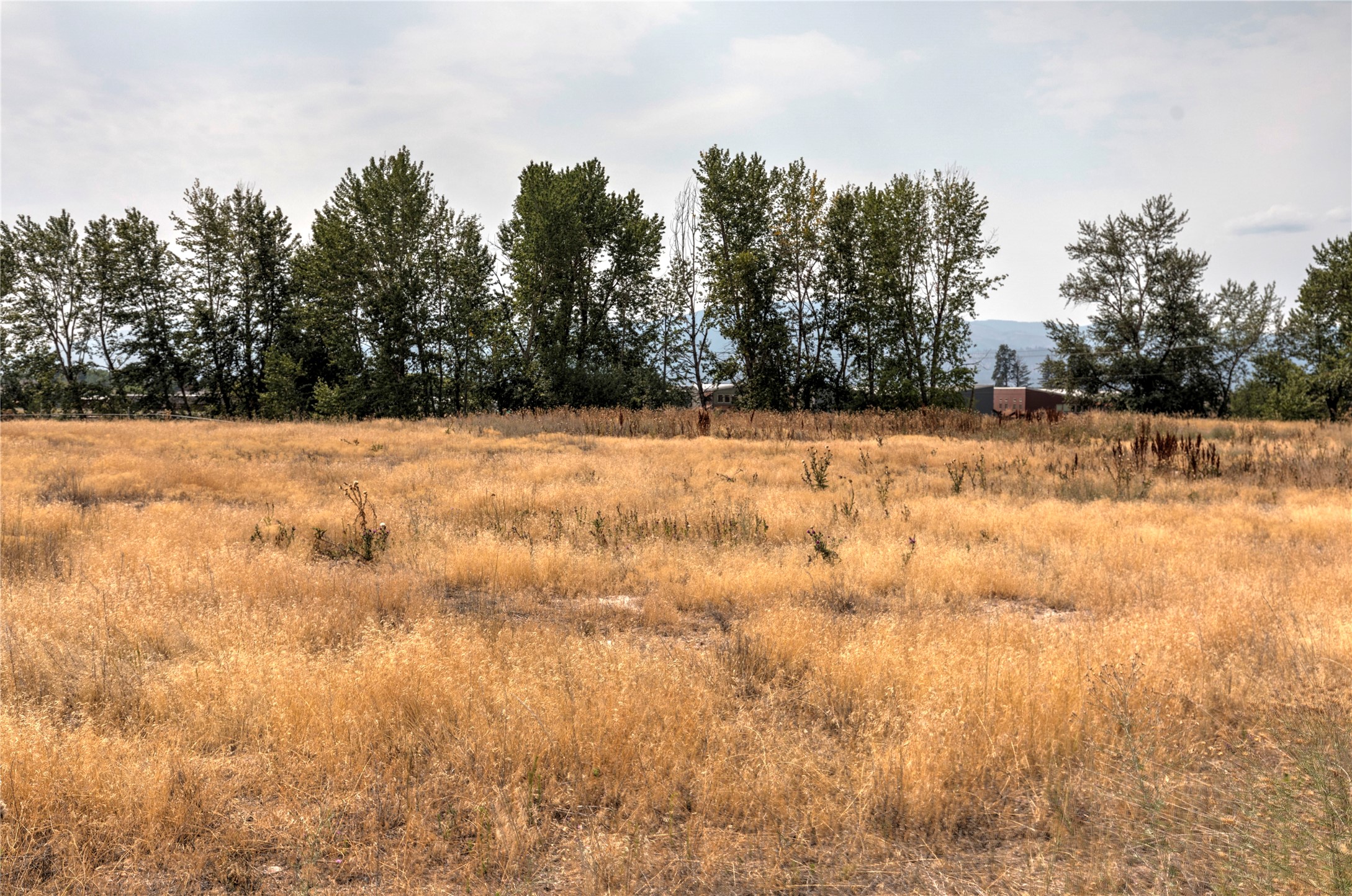 401 Expressway Property Photo 9