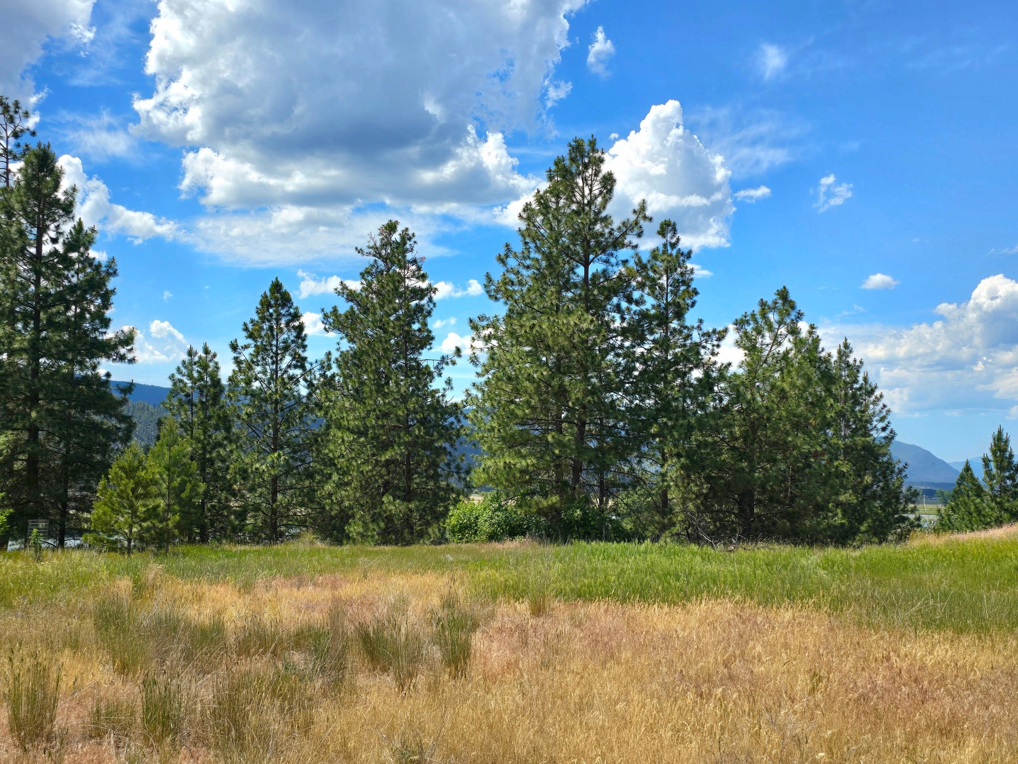 Lot 9 Riverview Terrace Property Photo 1