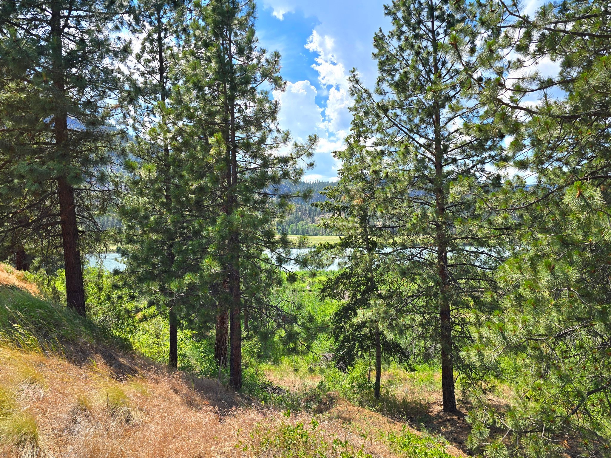 Lot 9 Riverview Terrace Property Photo 2