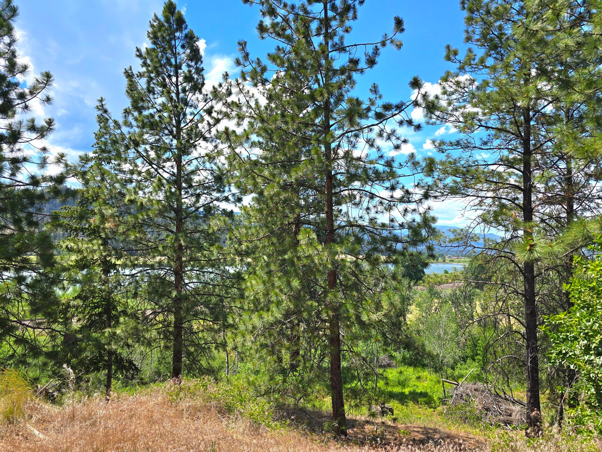 Lot 9 Riverview Terrace Property Photo 4