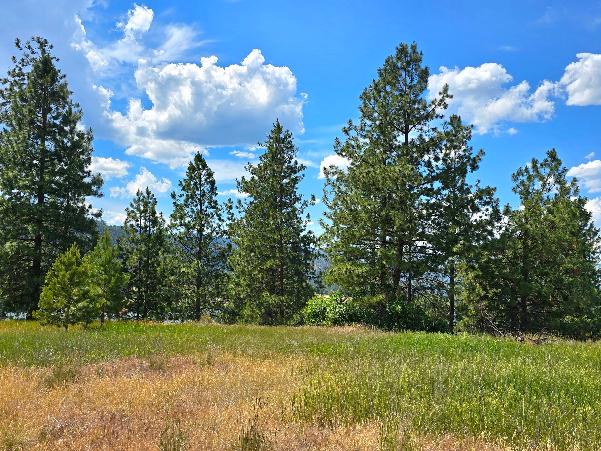Lot 9 Riverview Terrace Property Photo 6