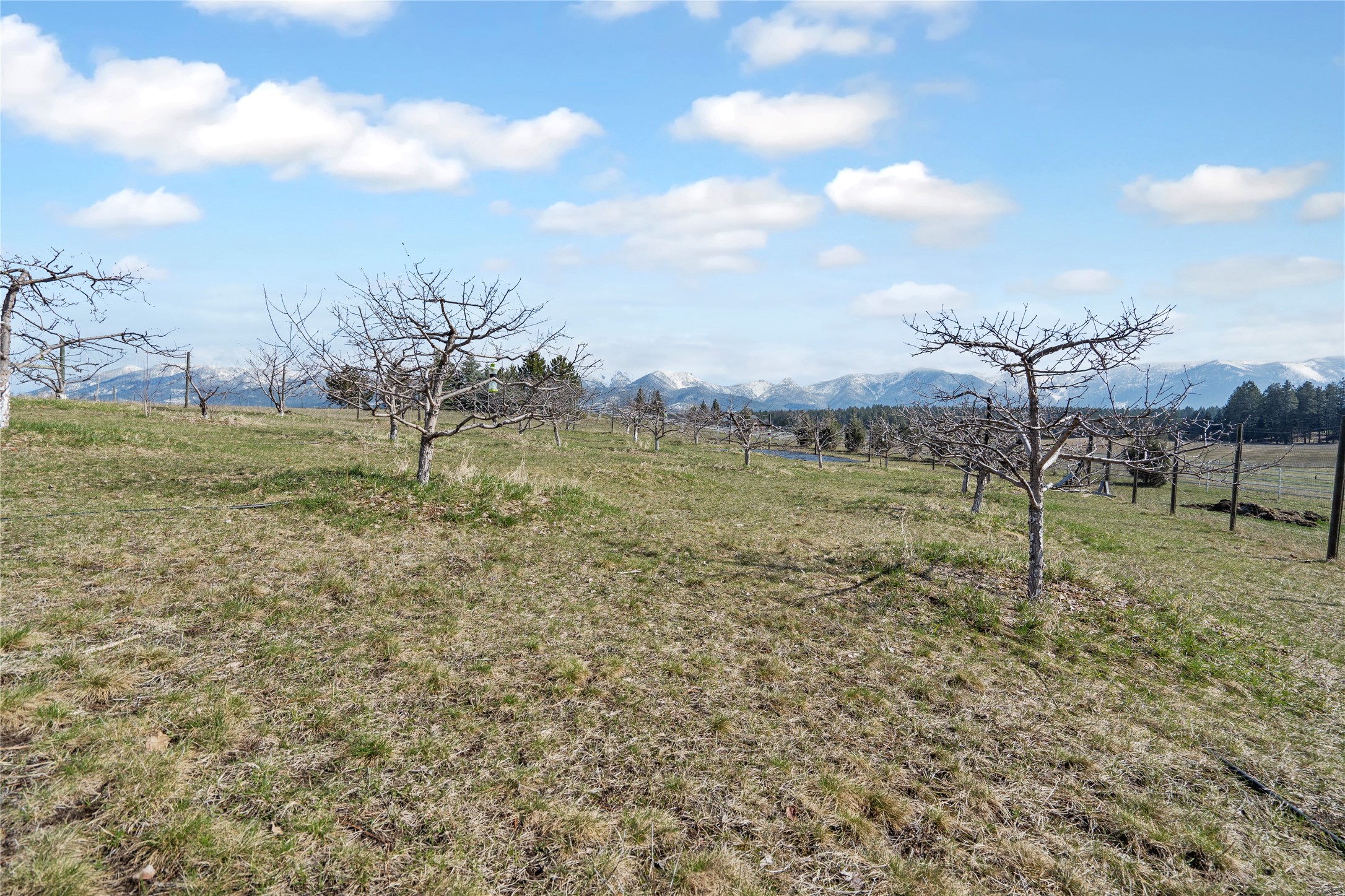 182 Moondance Trail Property Photo 51
