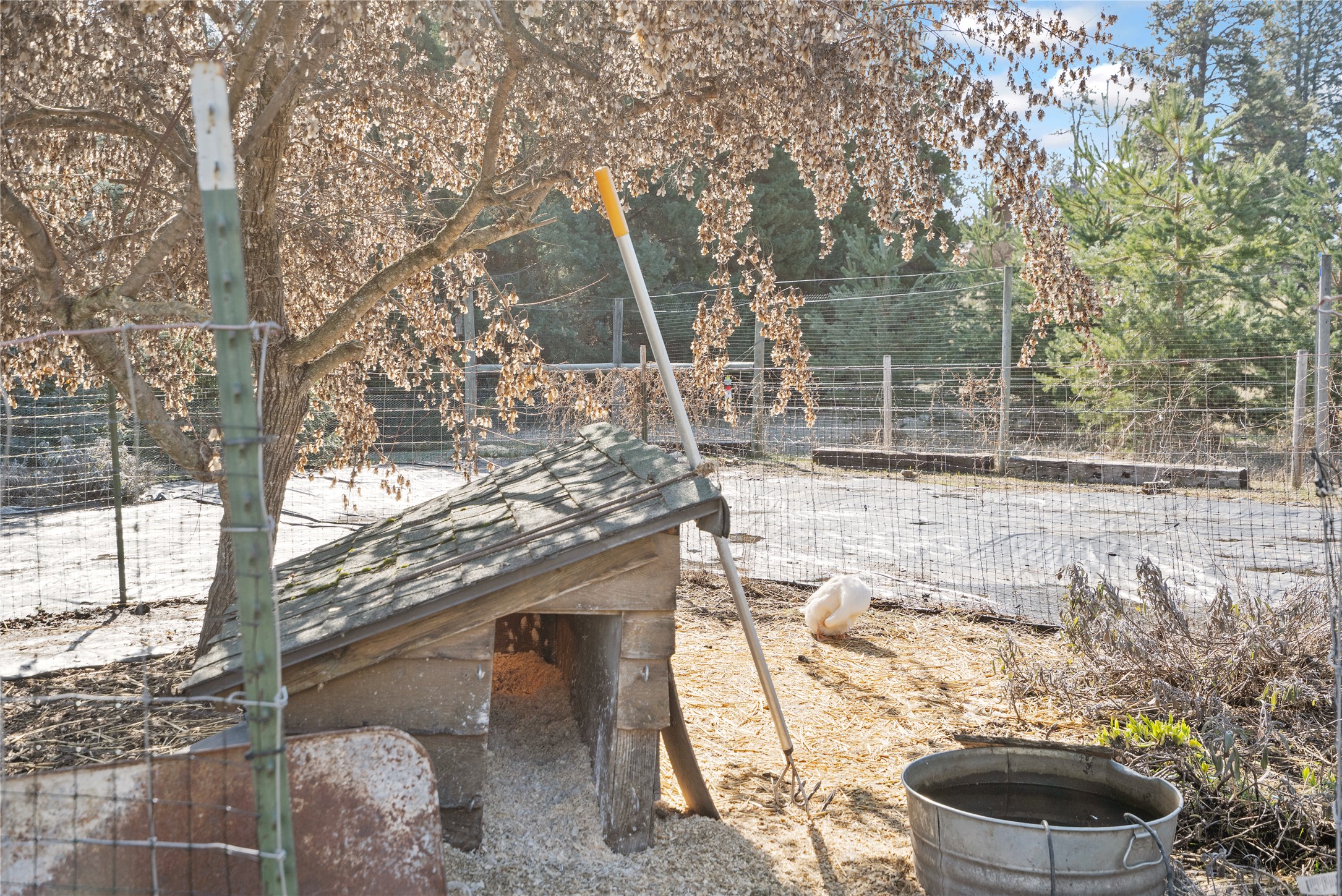 182 Moondance Trail Property Photo 60