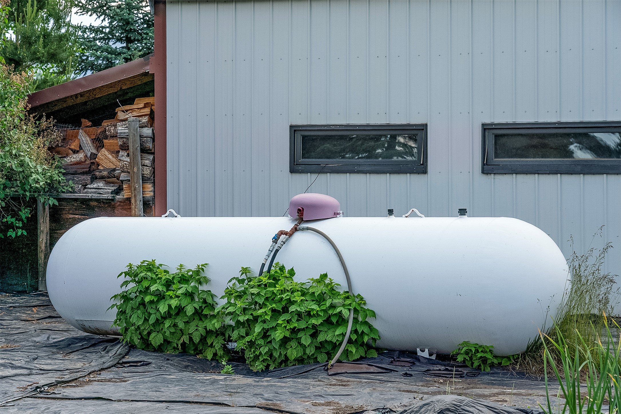 182 Moondance Trail Property Photo 64