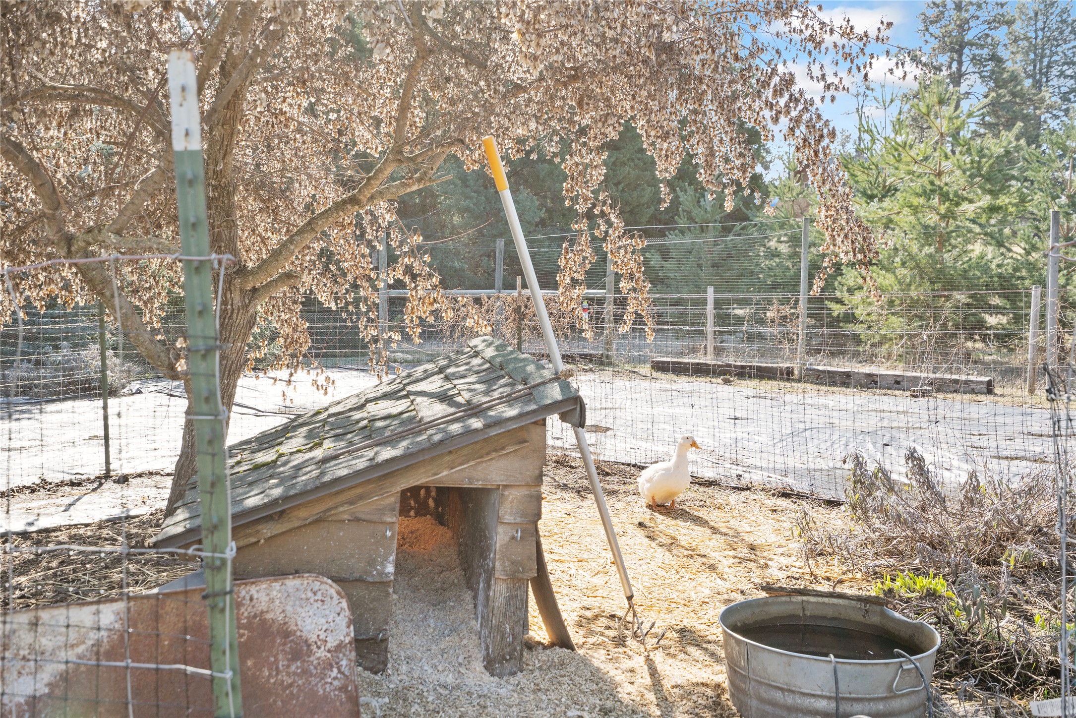 182 Moondance Trail Property Photo 66