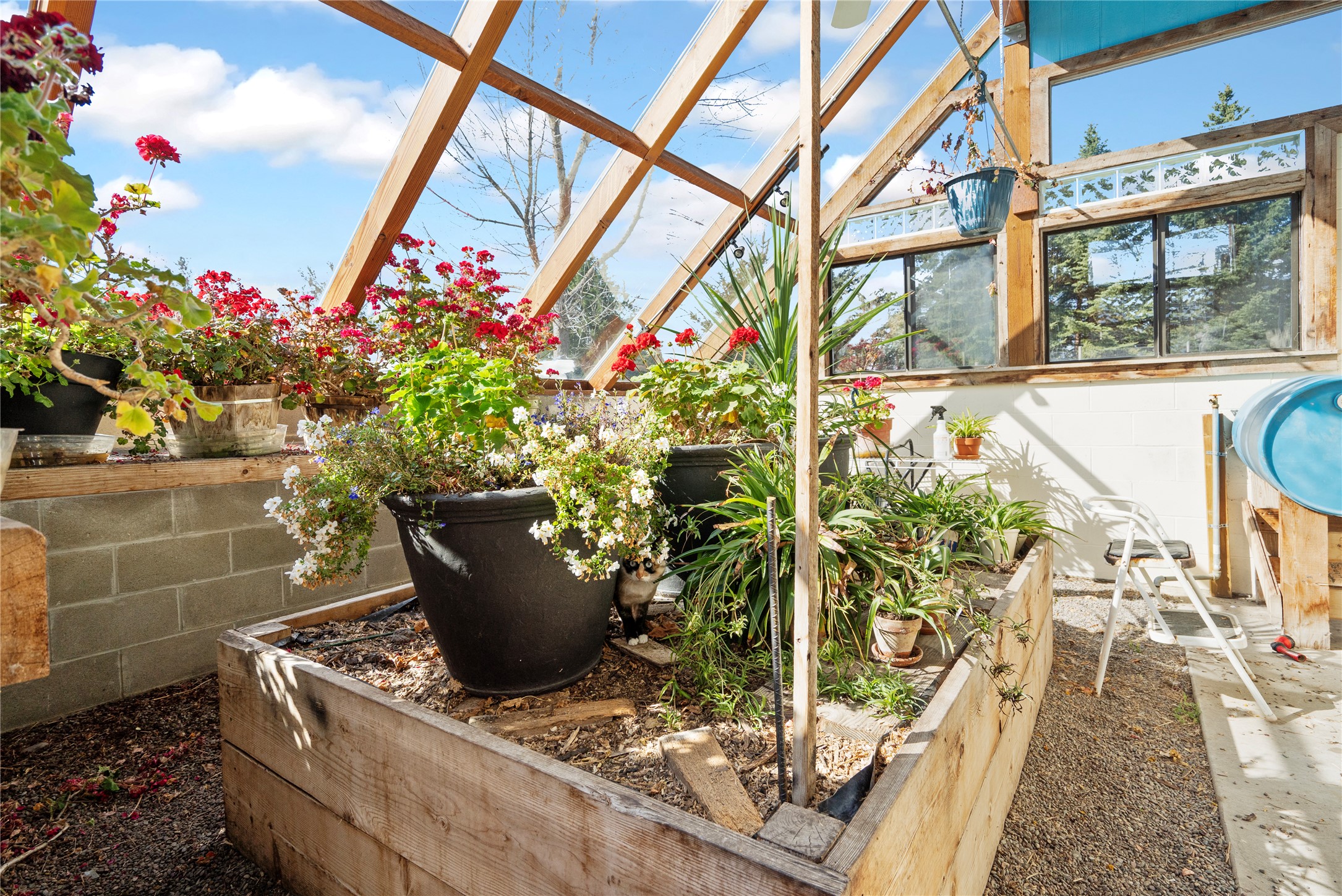 182 Moondance Trail Property Photo 67