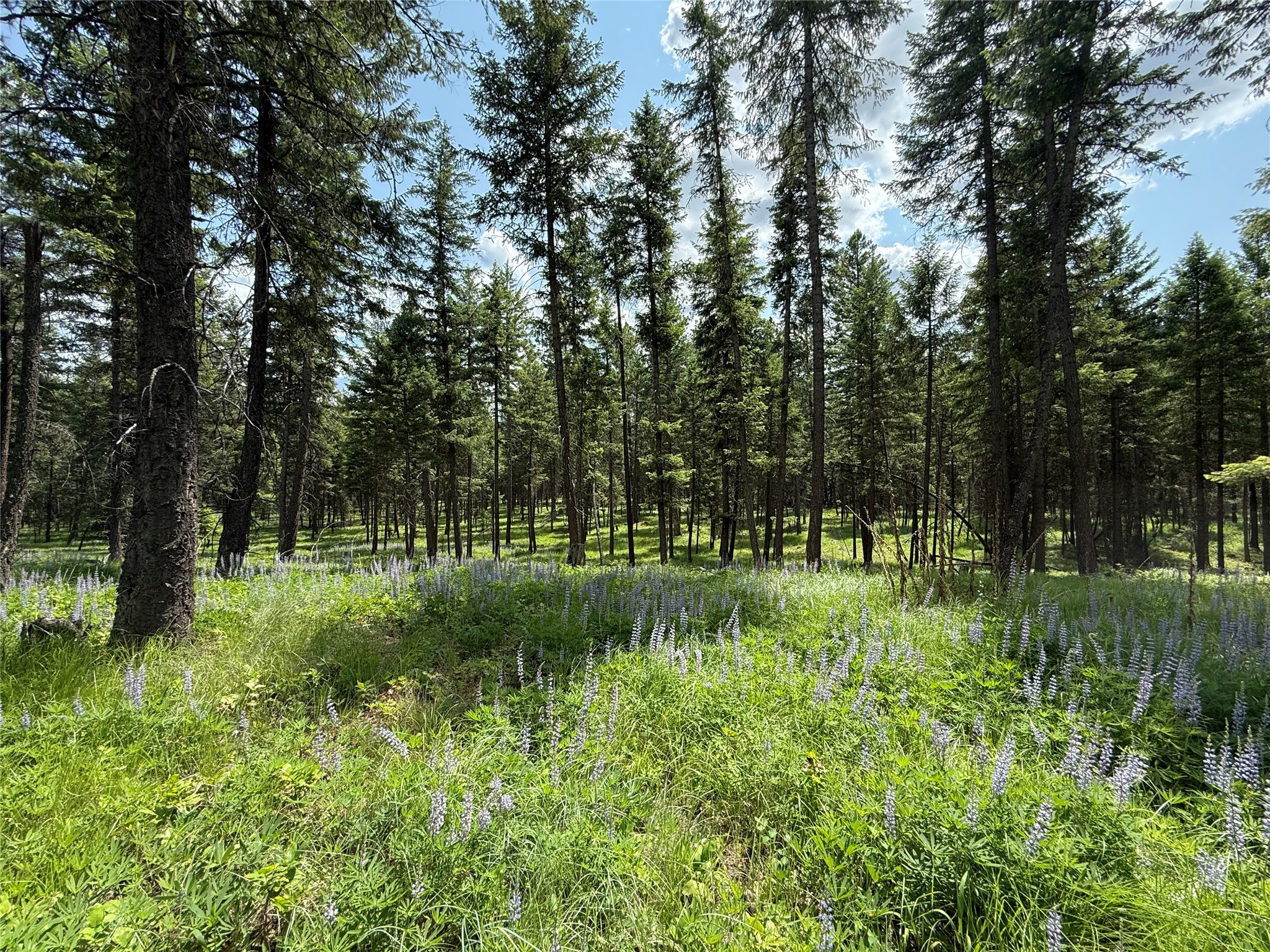 Parcel B Kootenai Drive Property Photo 1