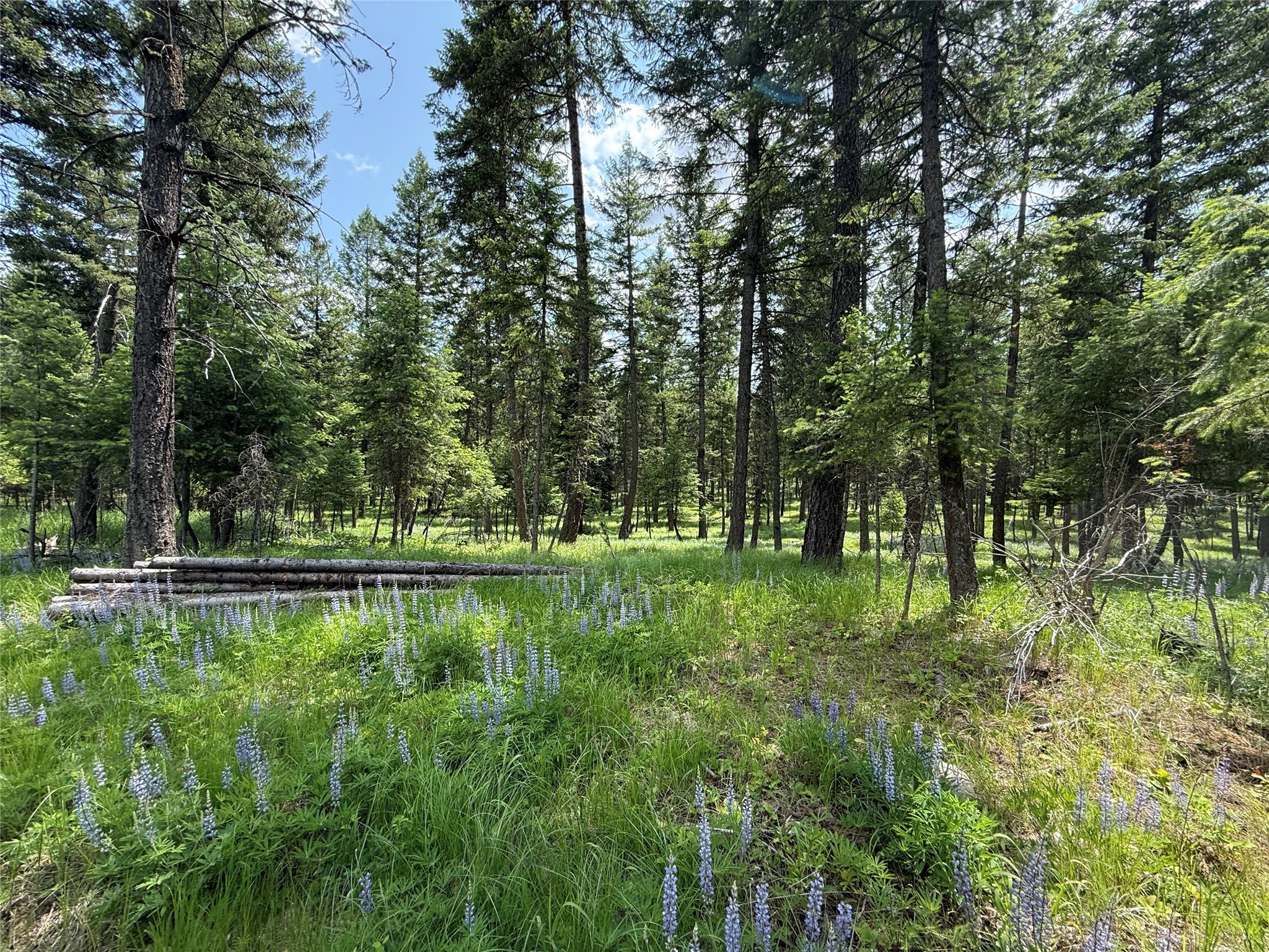 Parcel B Kootenai Drive Property Photo 2