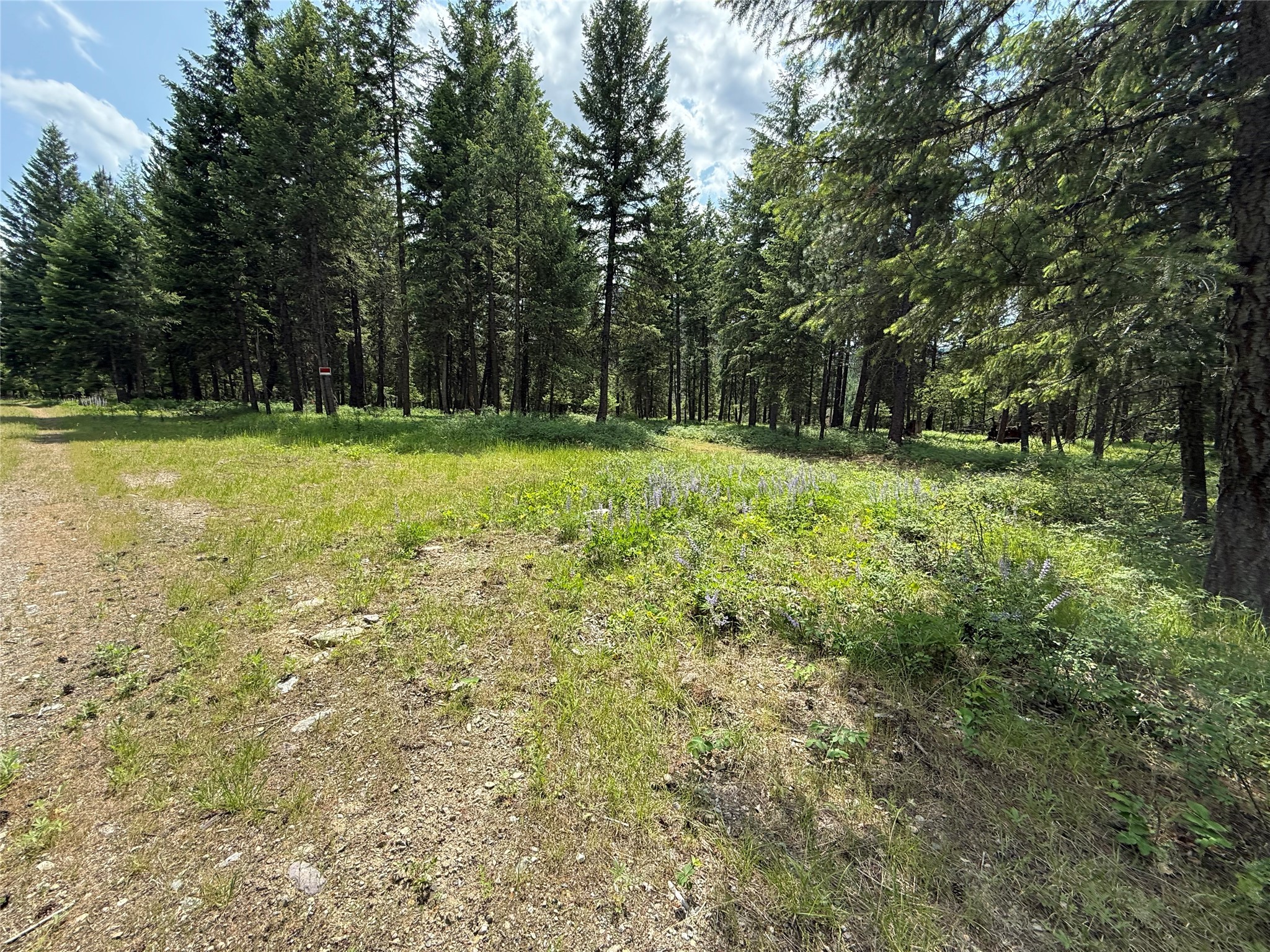 Parcel B Kootenai Drive Property Photo 3