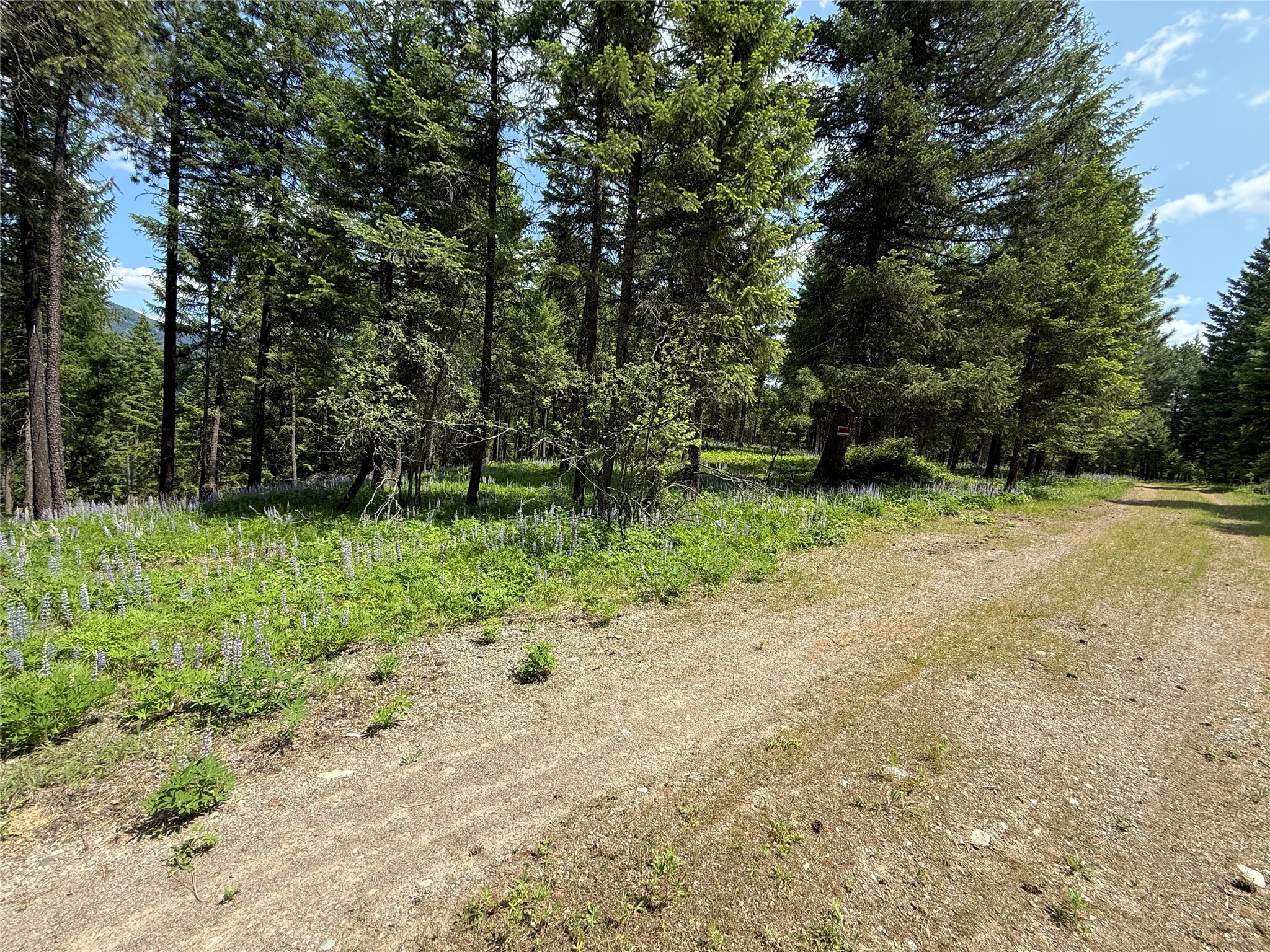 Parcel B Kootenai Drive Property Photo 4