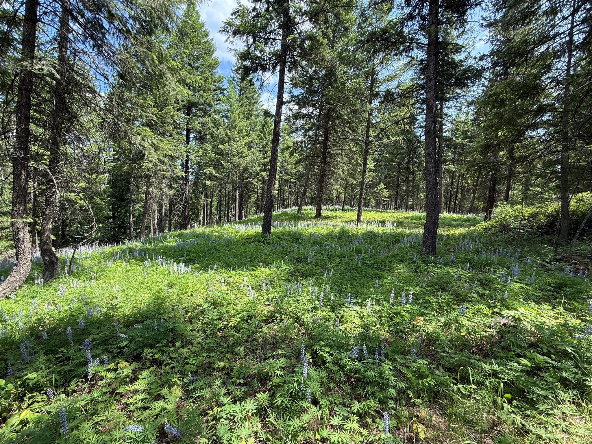 Parcel B Kootenai Drive Property Photo 5