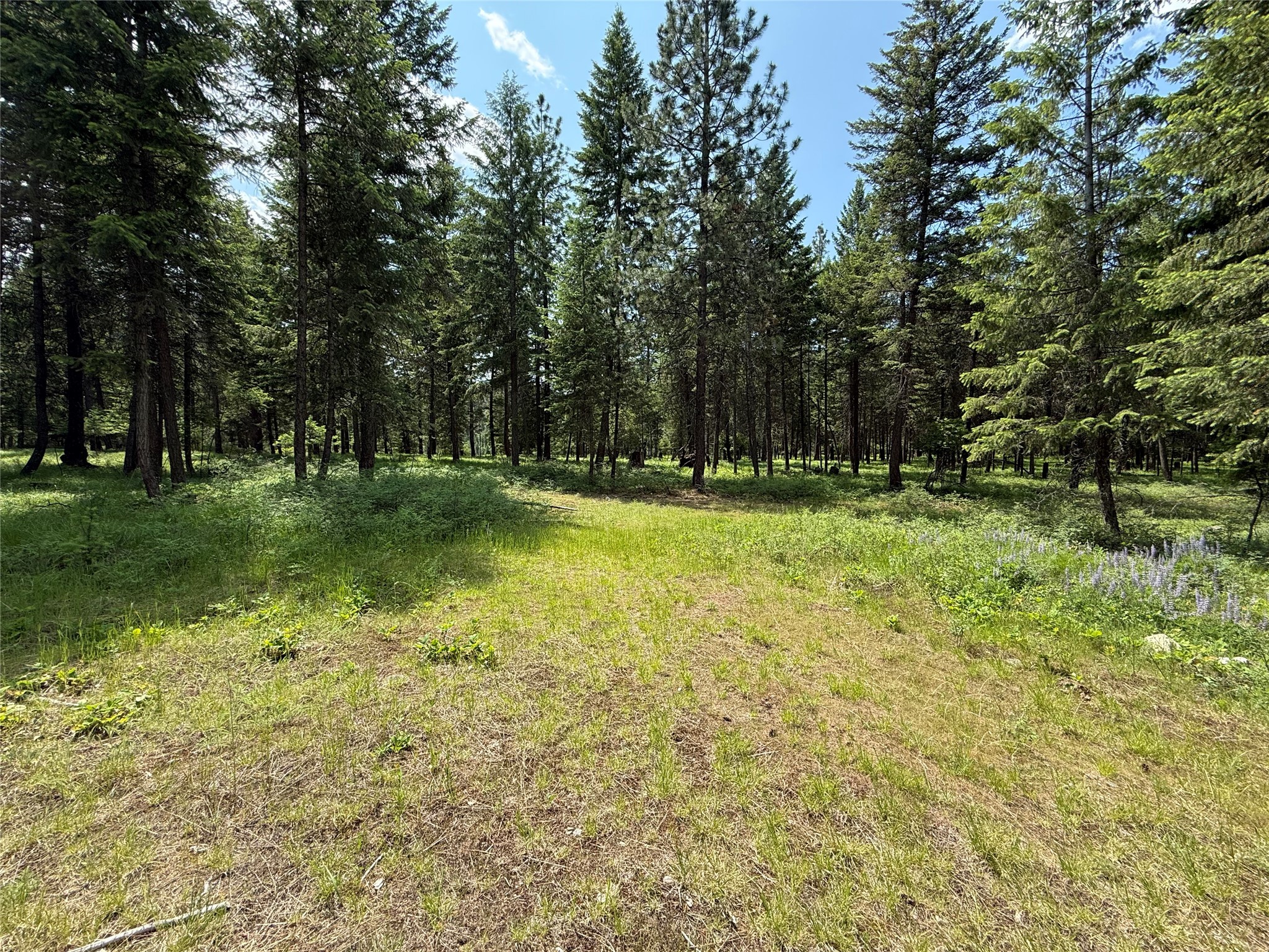 Parcel B Kootenai Drive Property Photo 6