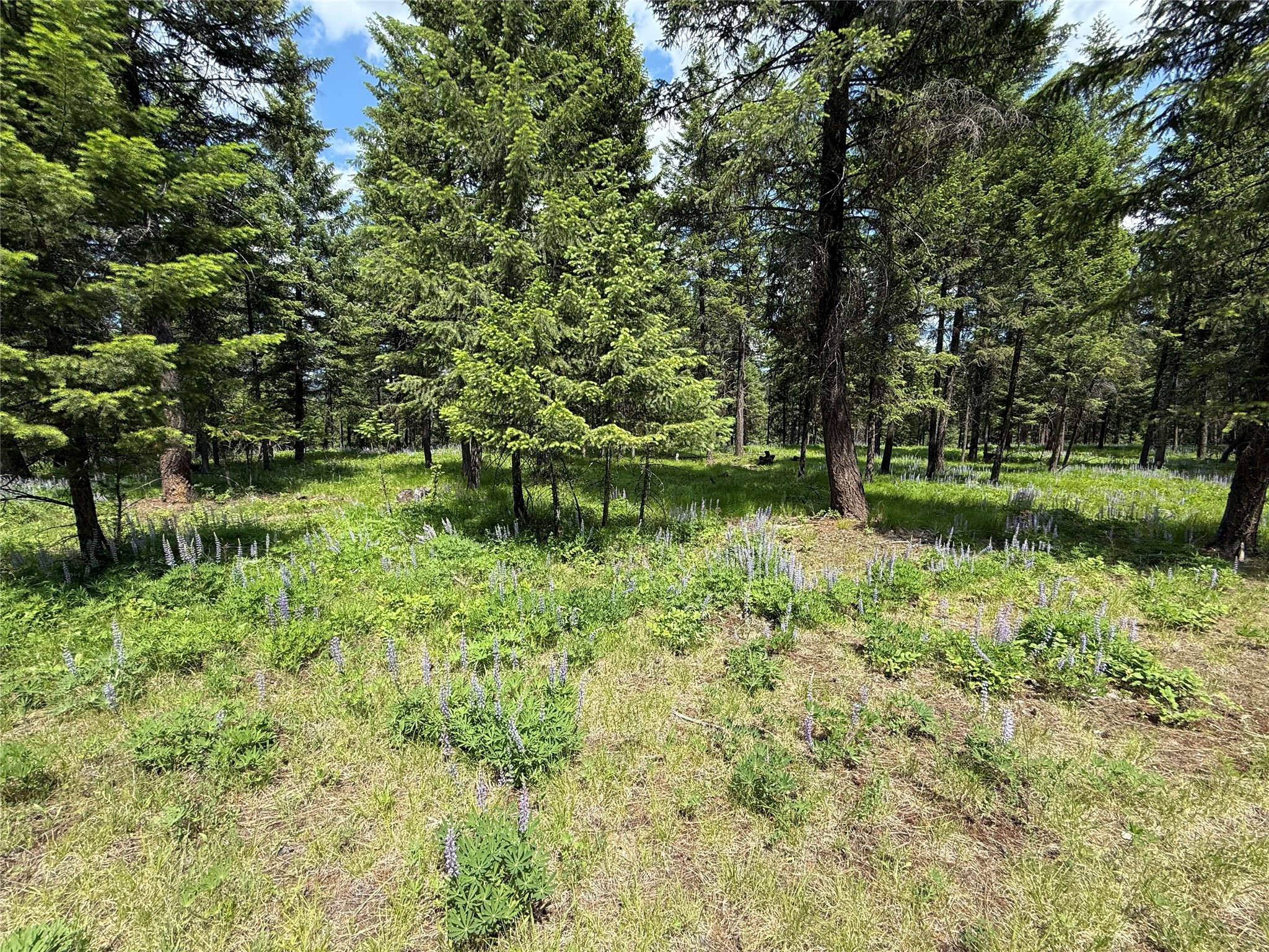 Parcel B Kootenai Drive Property Photo 7