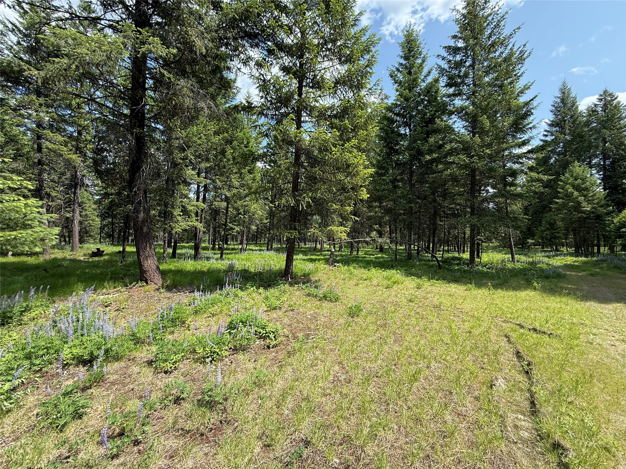 Parcel B Kootenai Drive Property Photo 8