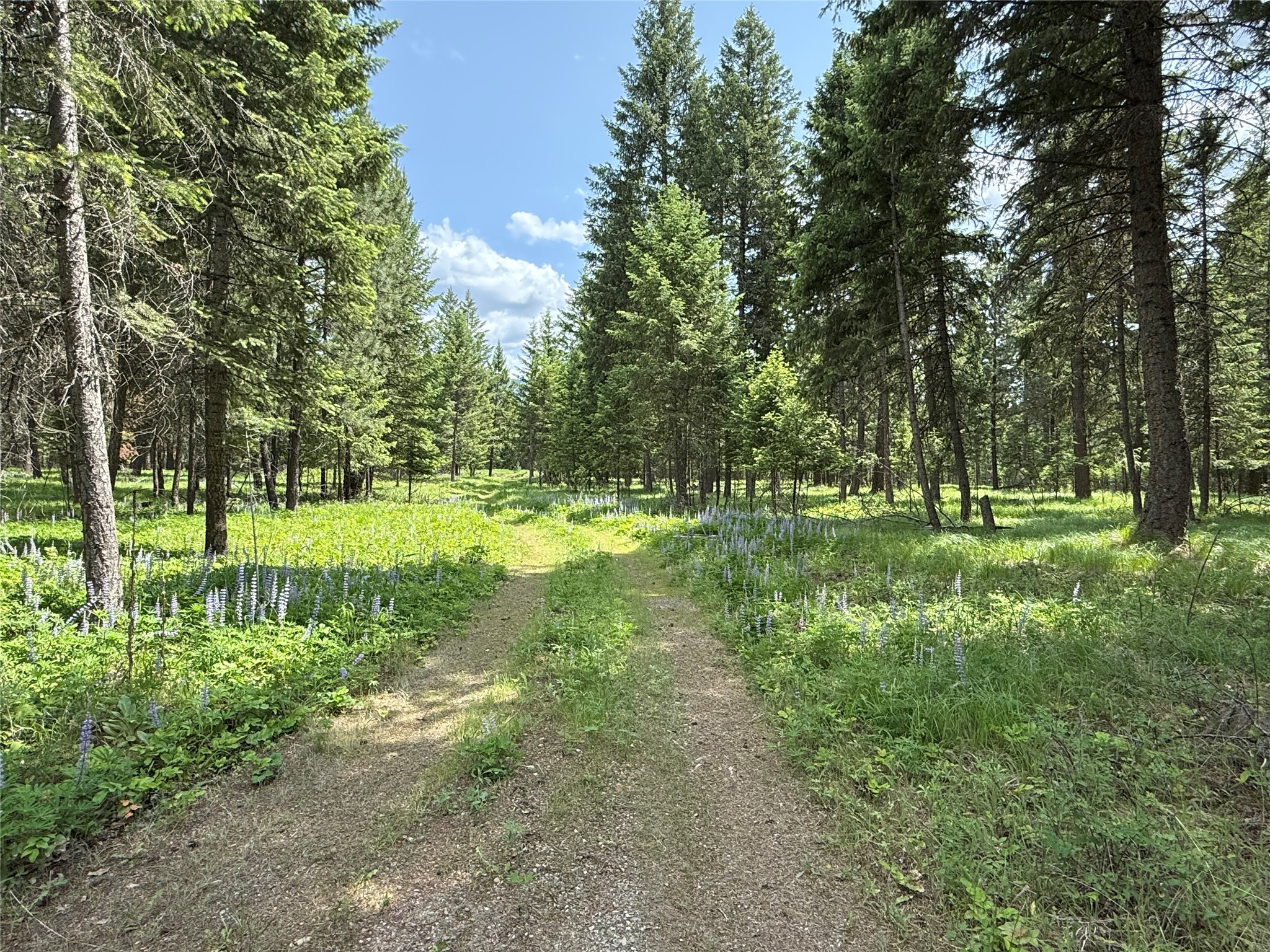 Parcel B Kootenai Drive Property Photo 9