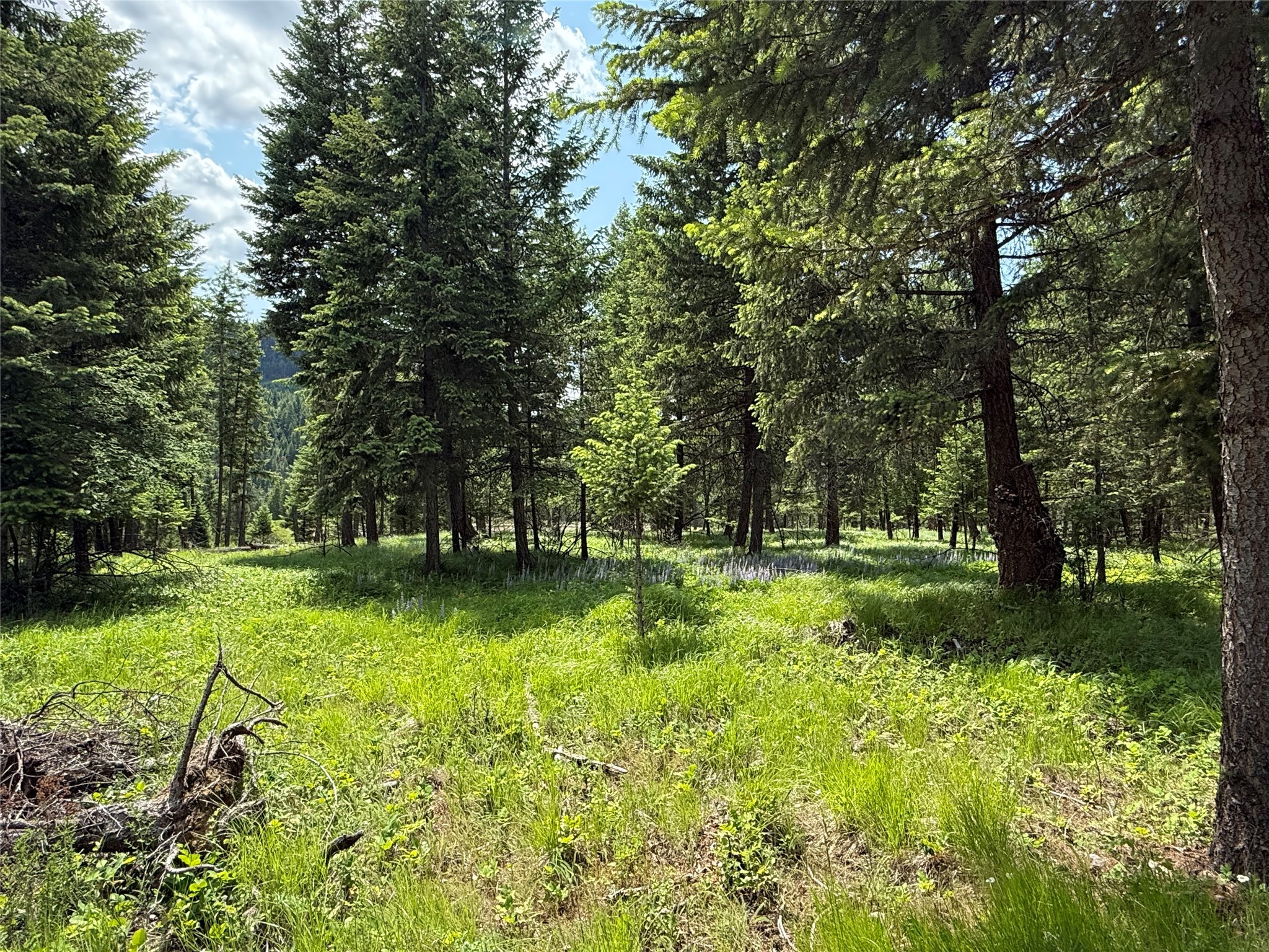 Parcel B Kootenai Drive Property Photo 10