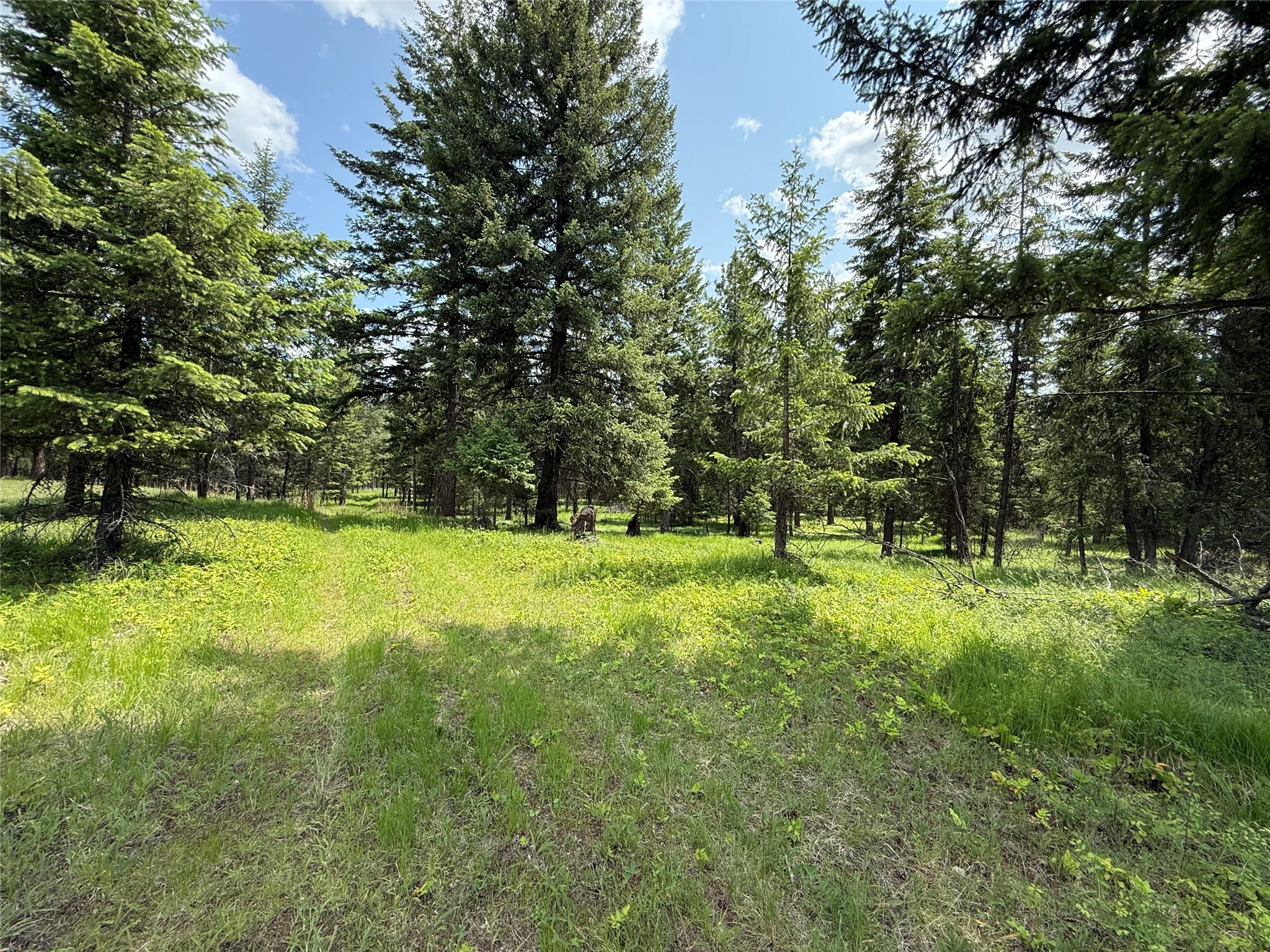 Parcel B Kootenai Drive Property Photo 11