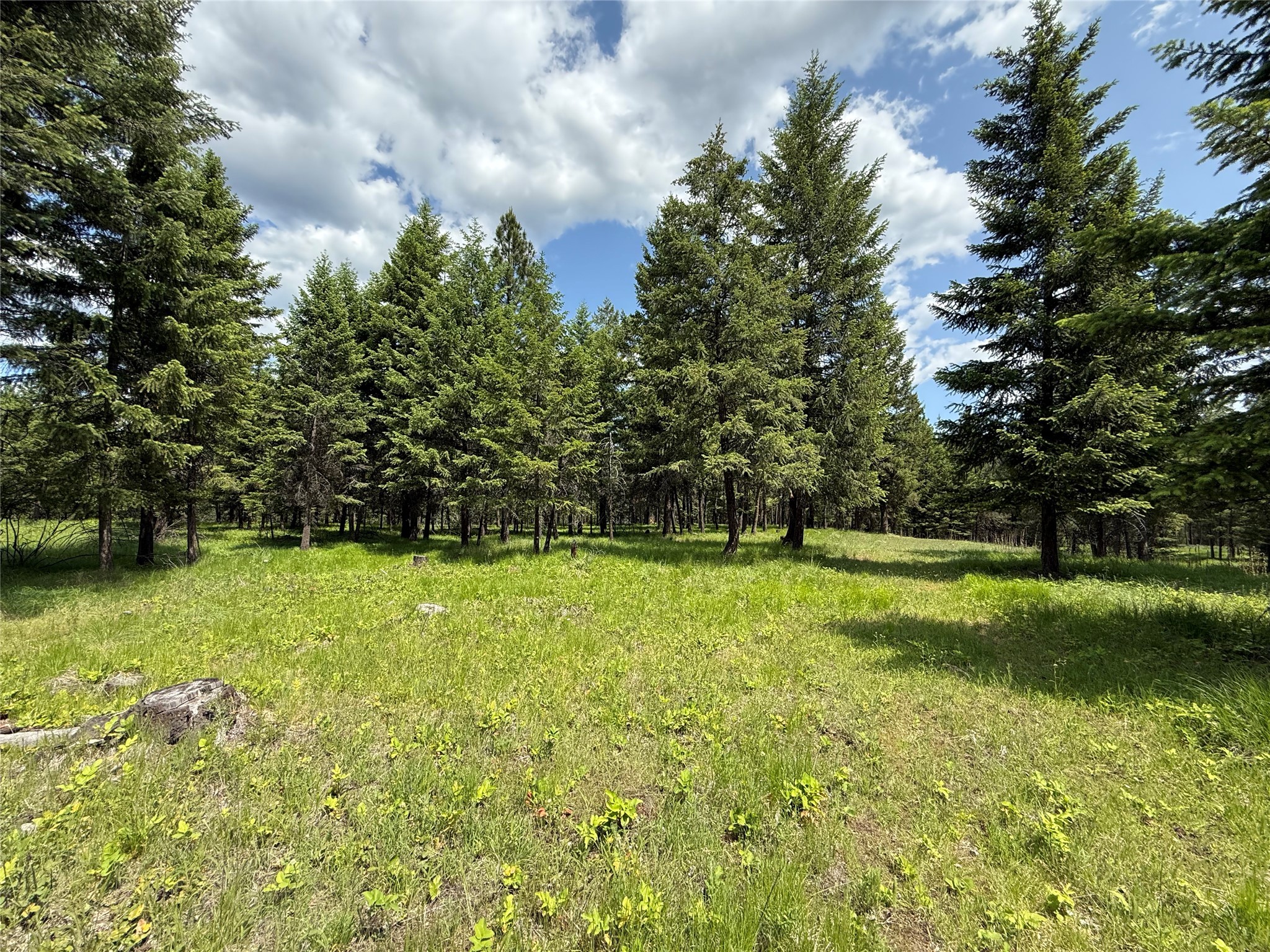 Parcel B Kootenai Drive Property Photo 12