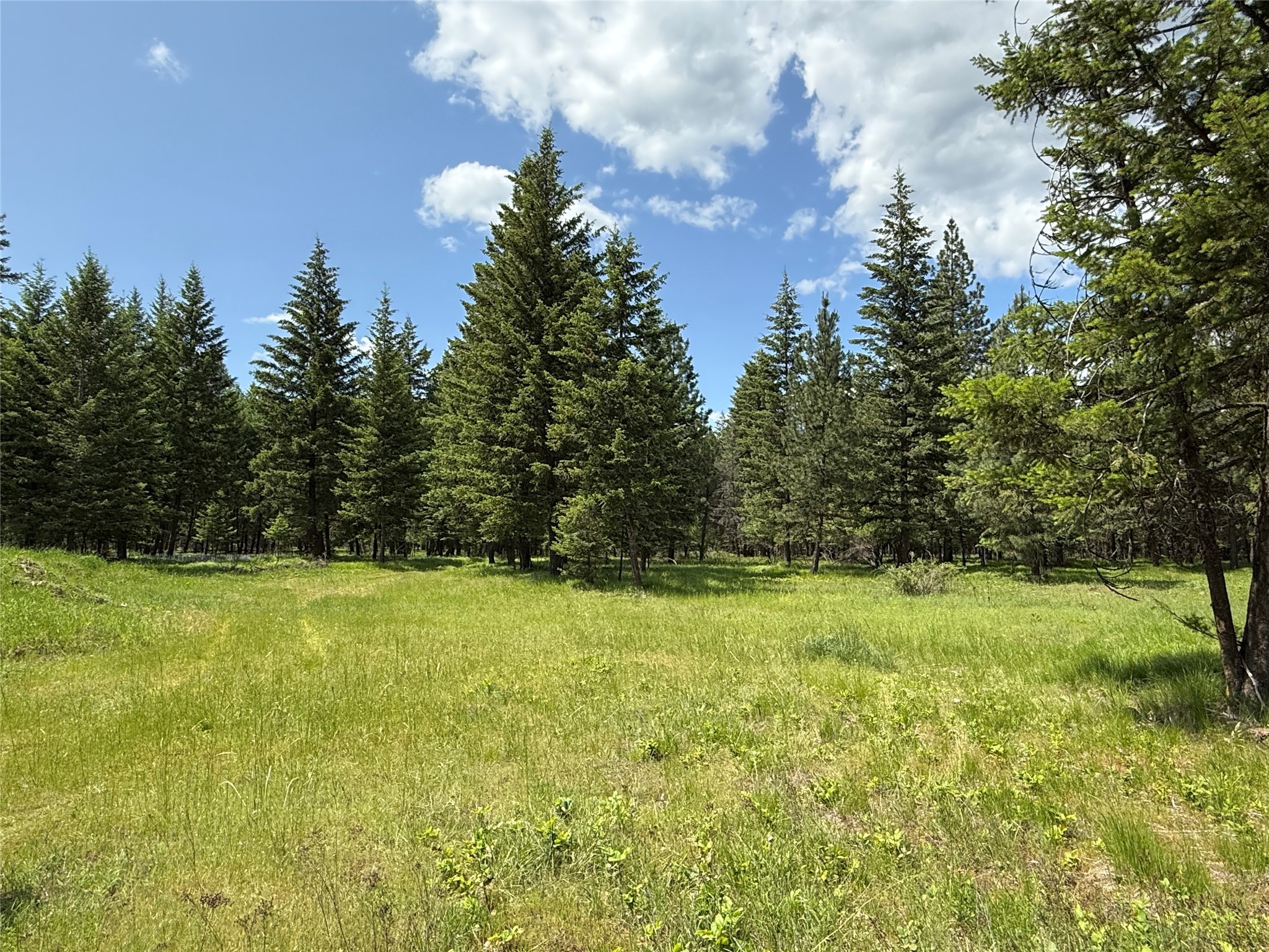 Parcel B Kootenai Drive Property Photo 13