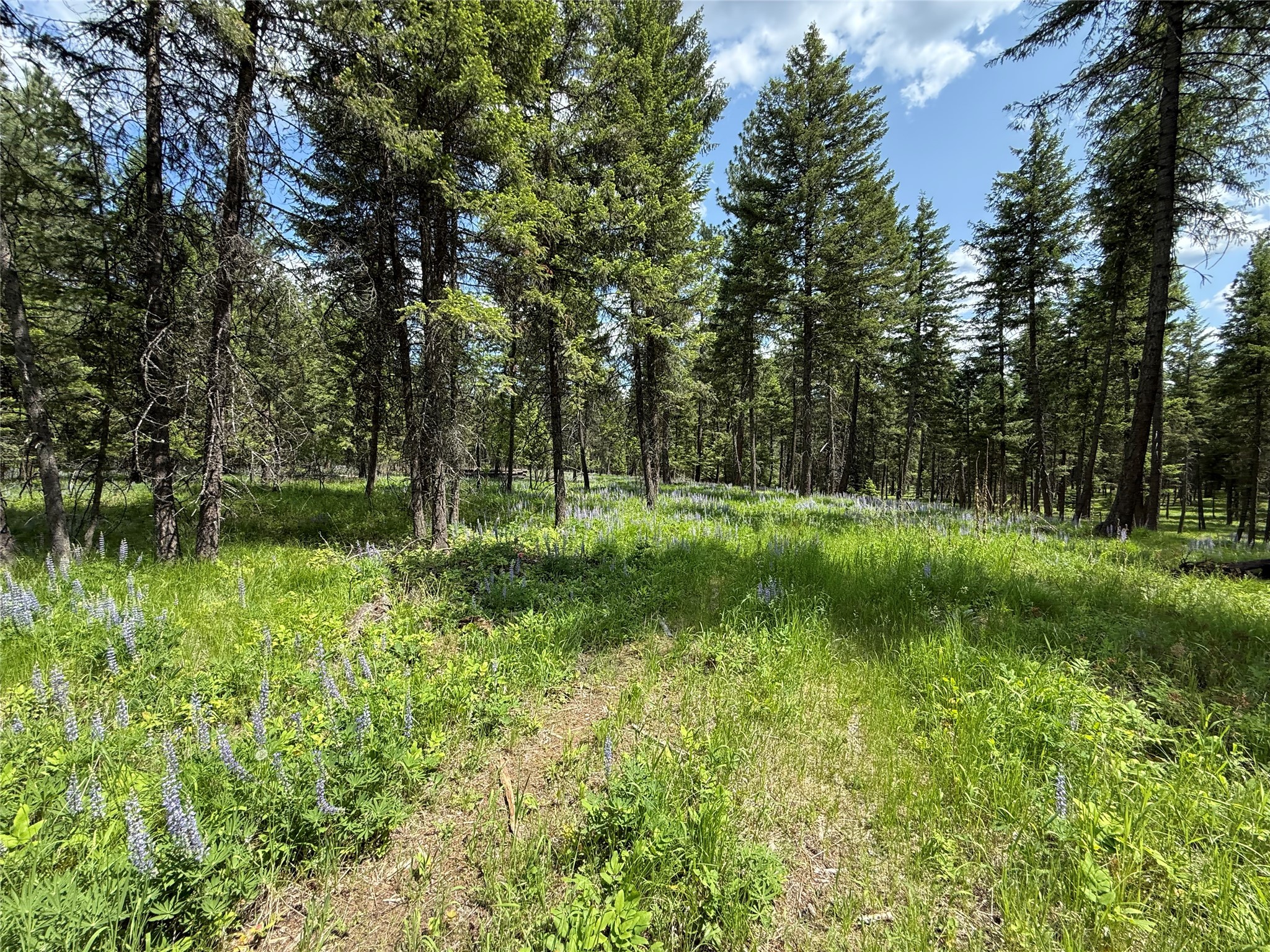 Parcel B Kootenai Drive Property Photo 14