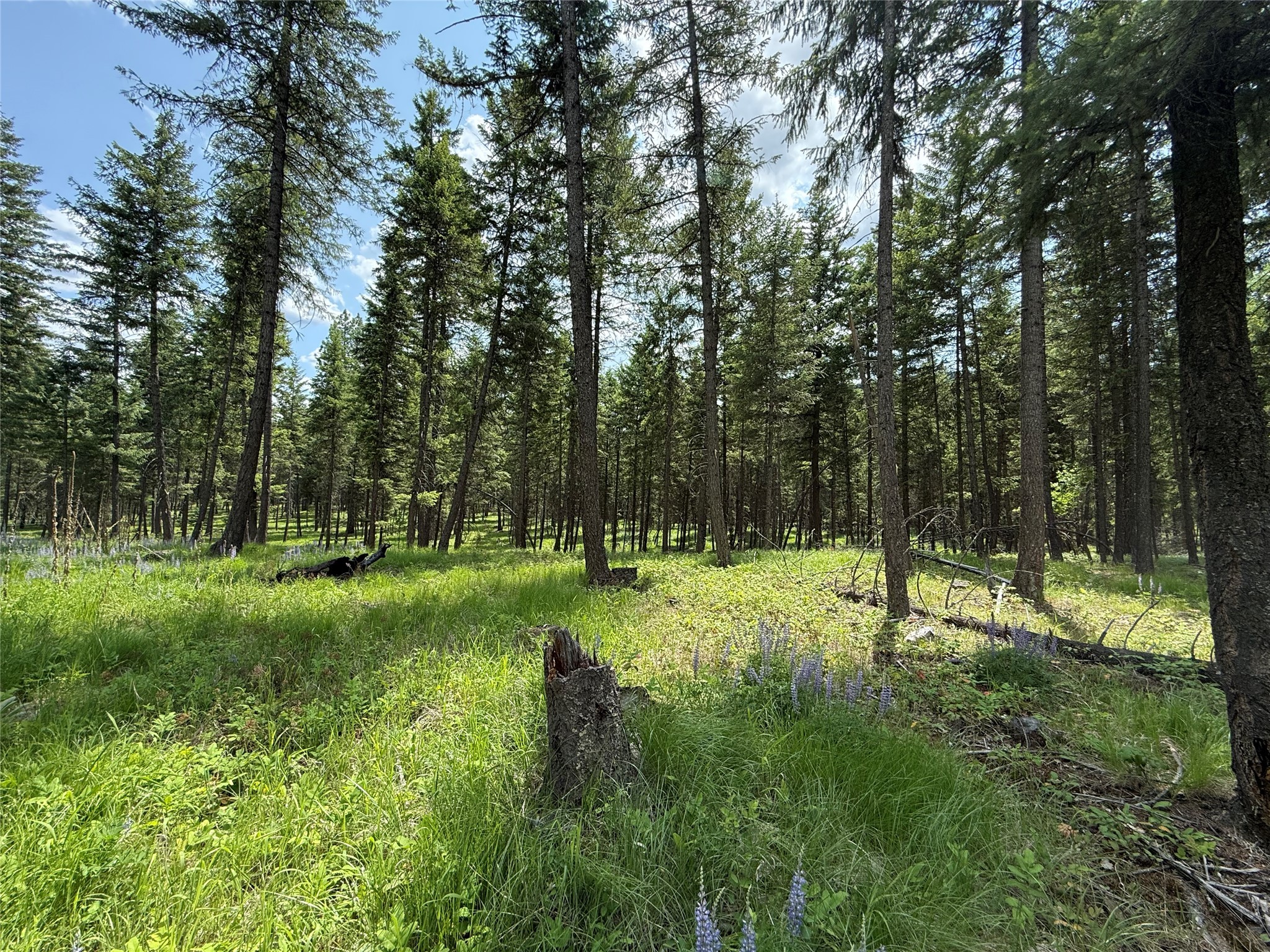 Parcel B Kootenai Drive Property Photo 15